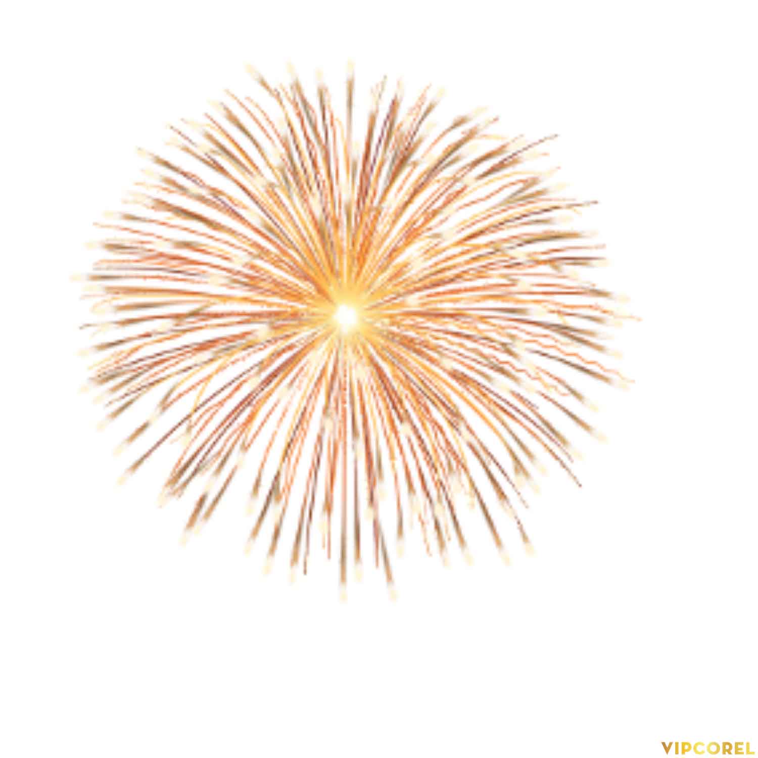 VIPcorel.com anh phao hoa tach nen file PNG (29).jpg