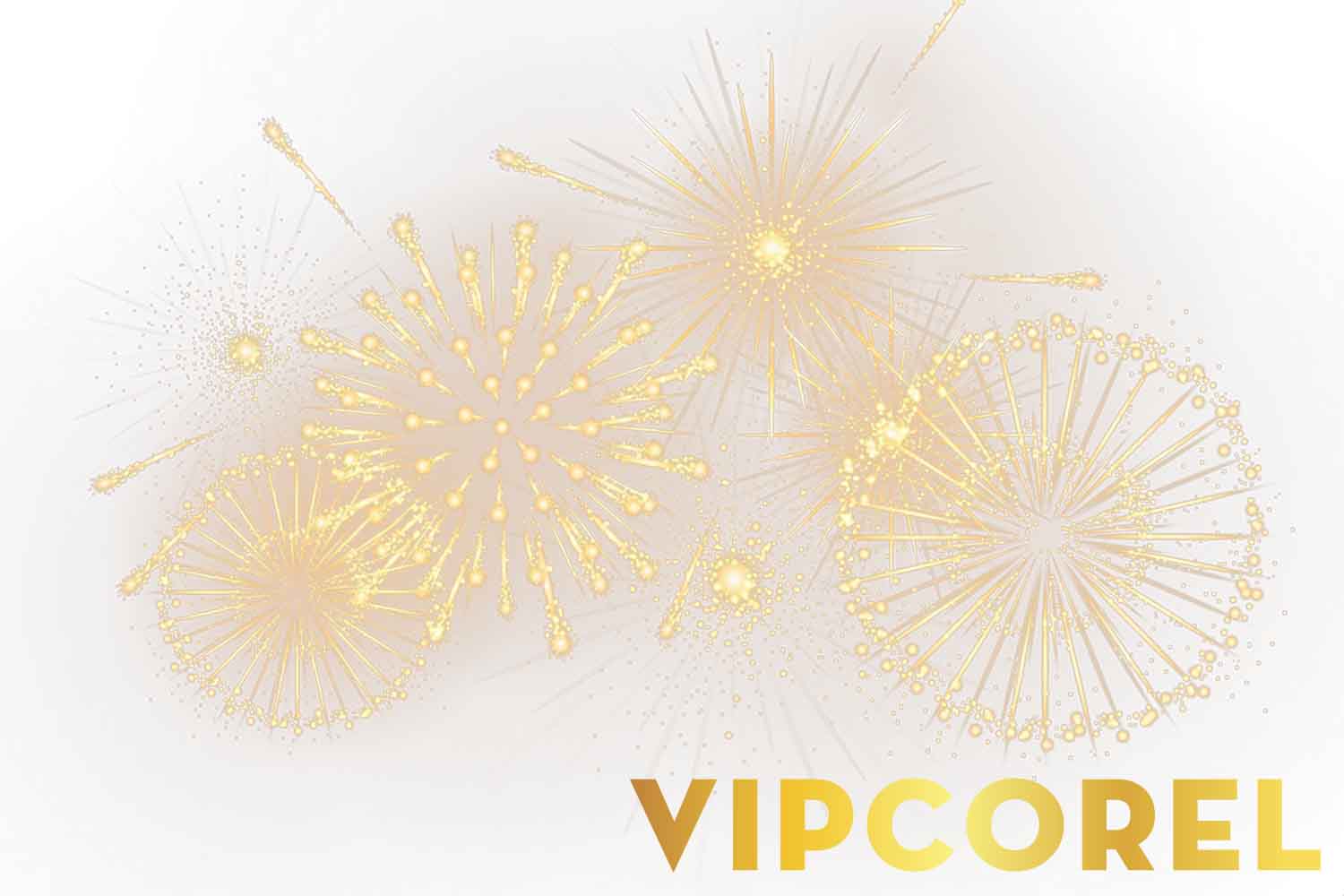 VIPcorel.com anh phao hoa tach nen file PNG (7).jpg