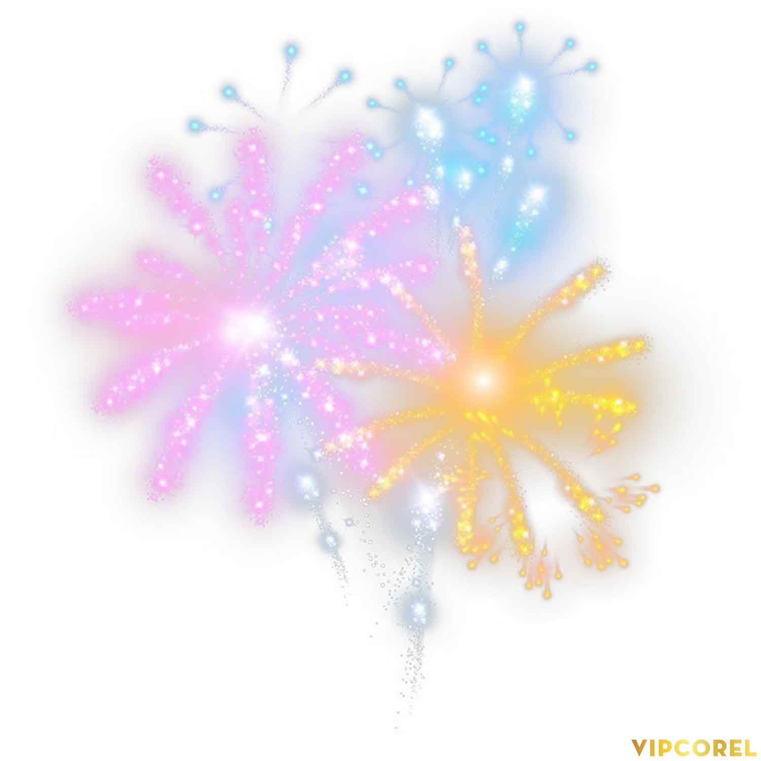 VIPcorel.com anh phao hoa tach nen file PNG (9).jpg