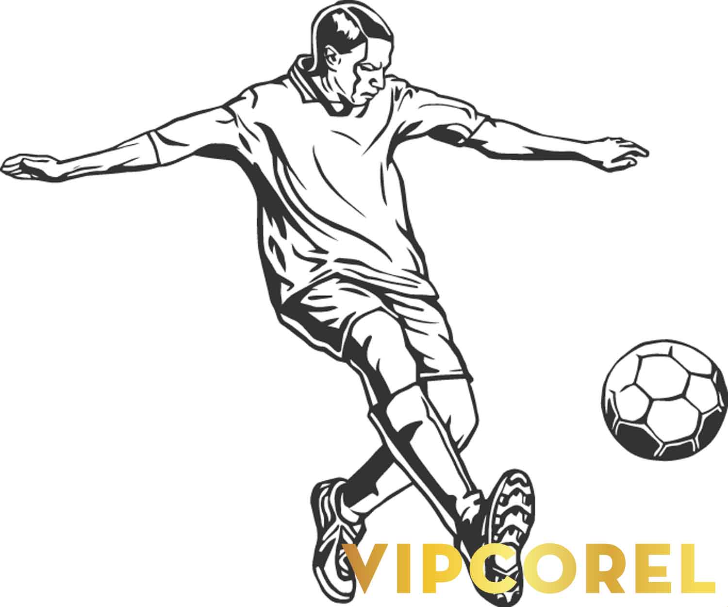 VIPcorel.com hinh anh bong da tach nen file PNG (107).jpg