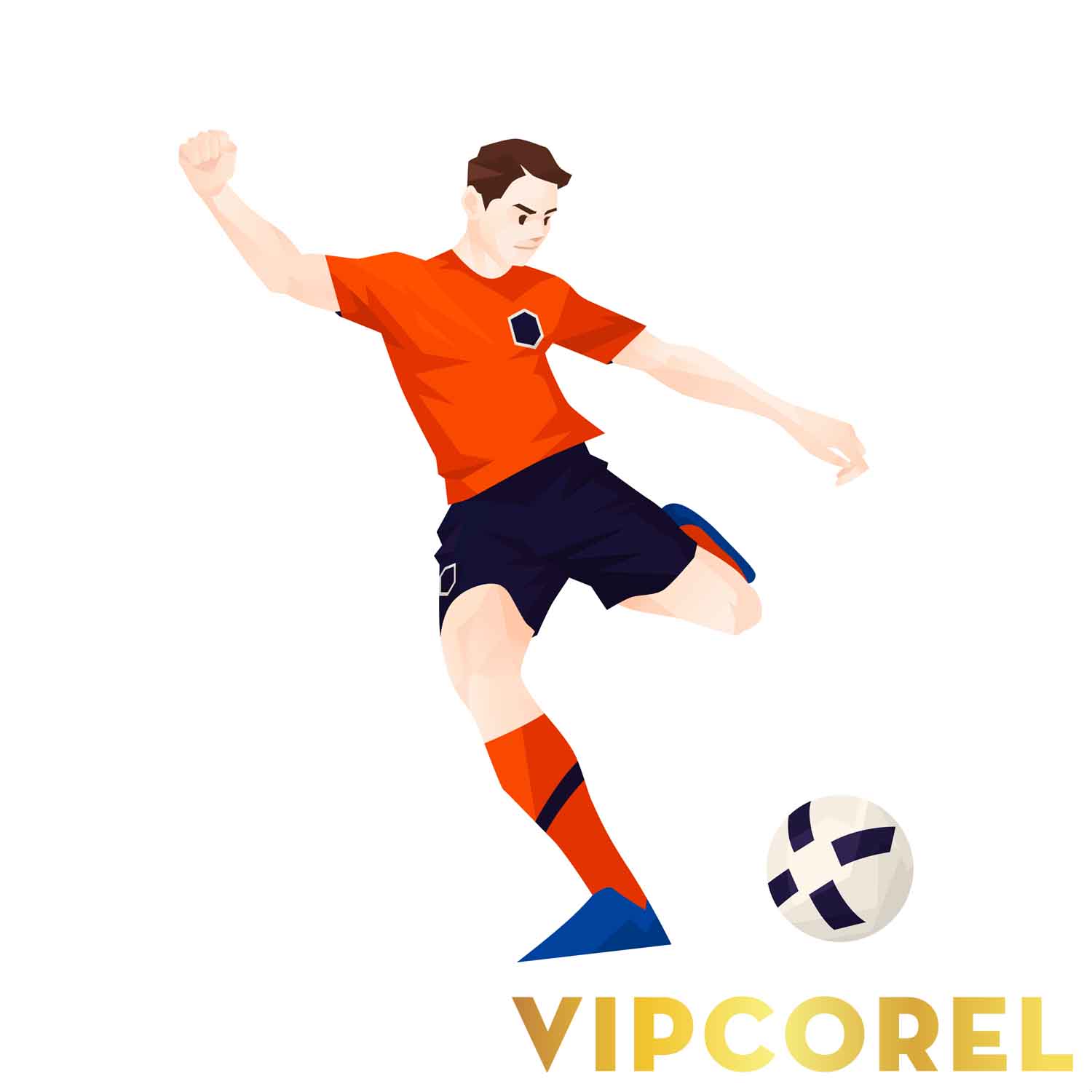 VIPcorel.com hinh anh bong da tach nen file PNG (112).jpg