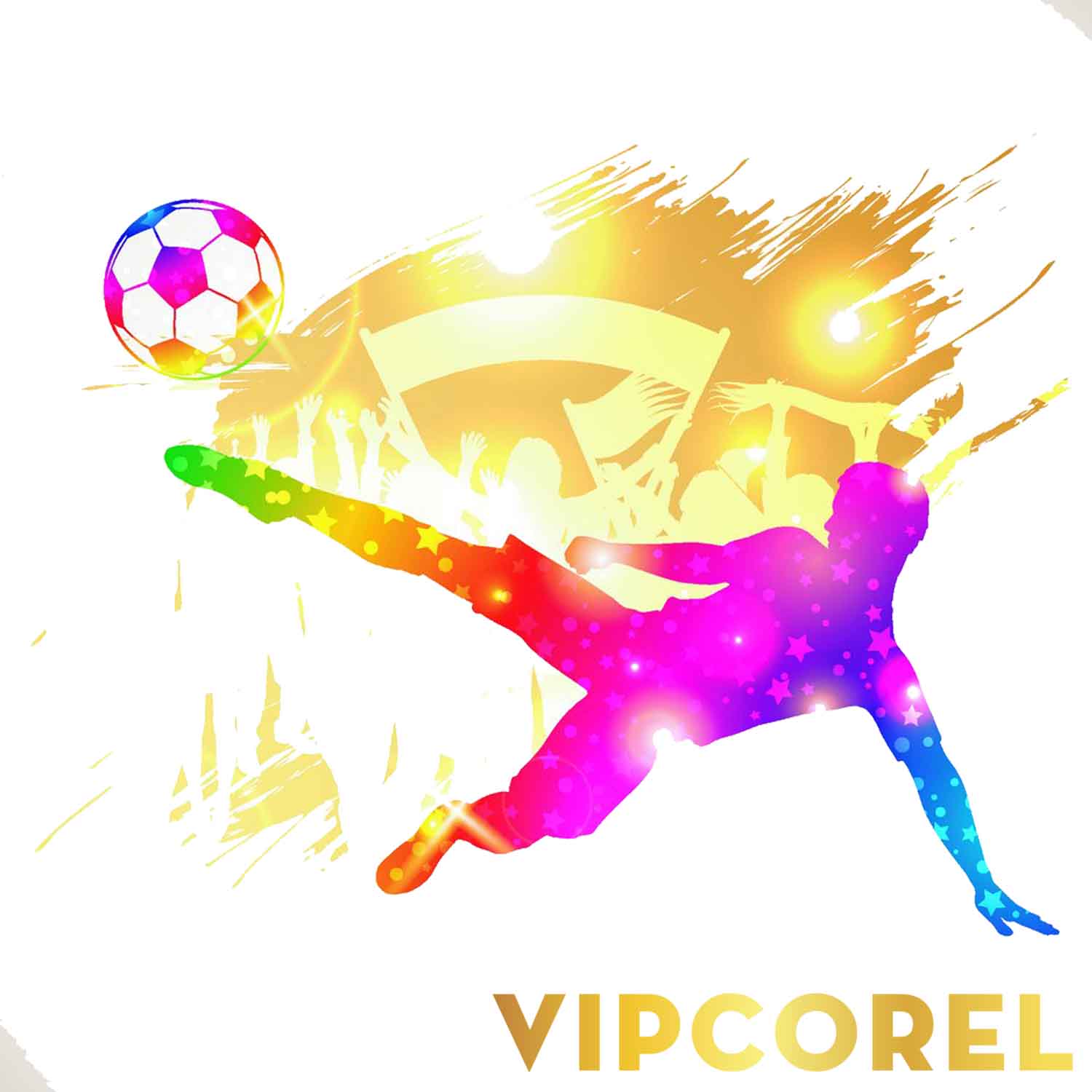 VIPcorel.com hinh anh bong da tach nen file PNG (116).jpg