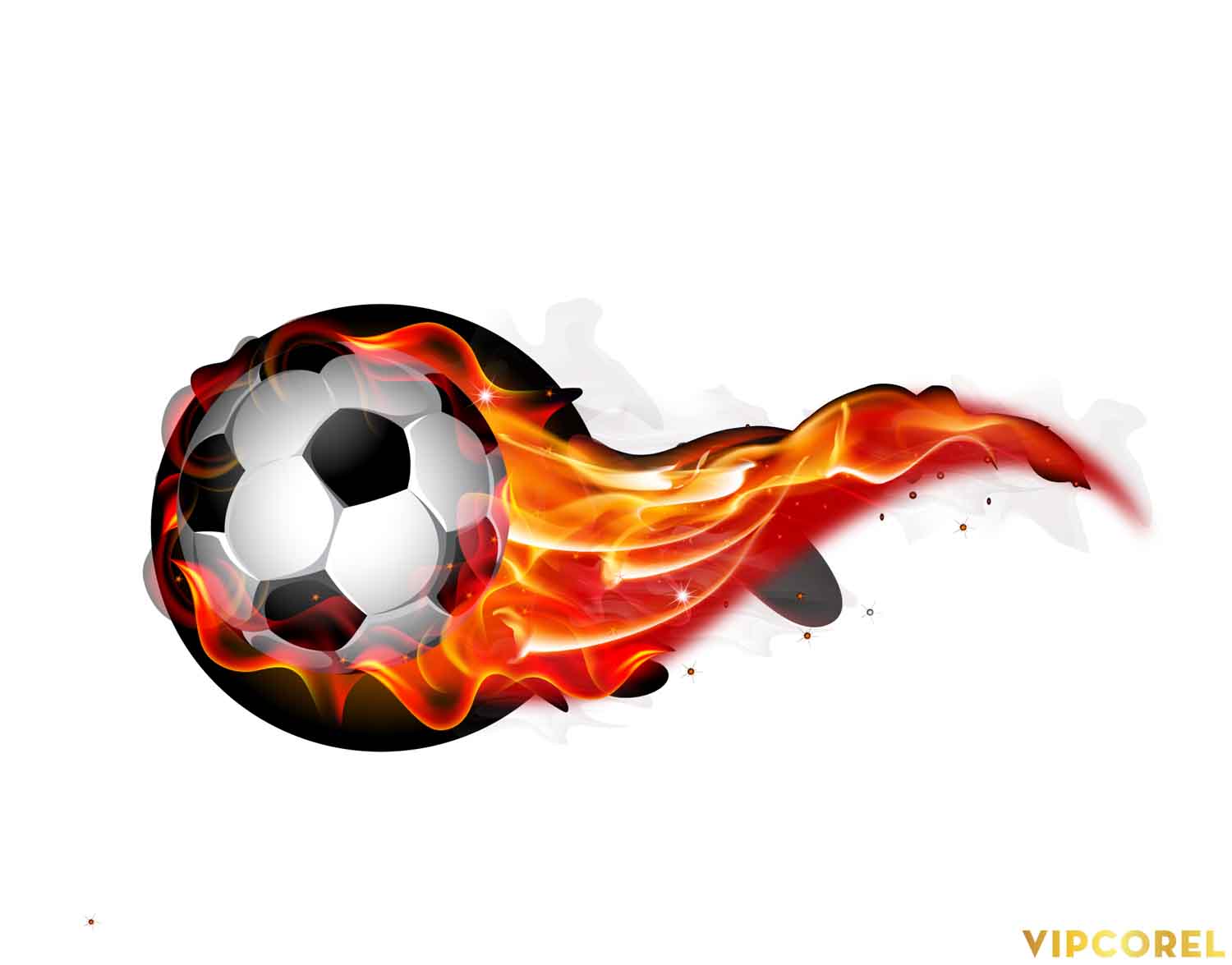 VIPcorel.com hinh anh bong da tach nen file PNG (2).jpg