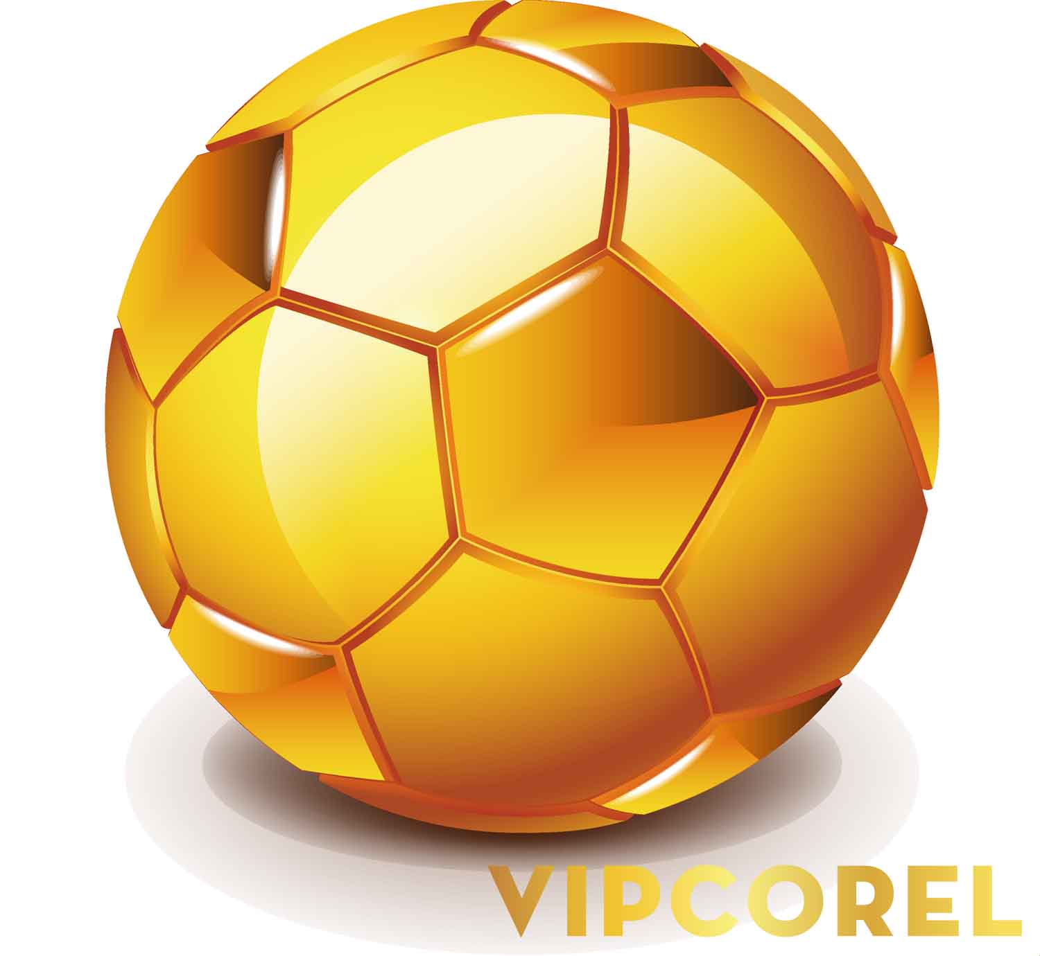 VIPcorel.com hinh anh bong da tach nen file PNG (29).jpg