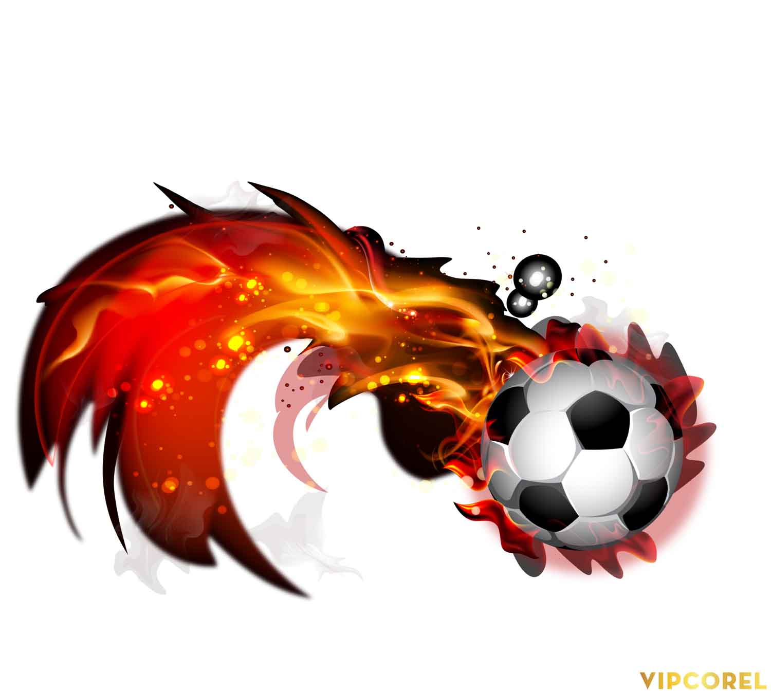 VIPcorel.com hinh anh bong da tach nen file PNG (53).jpg