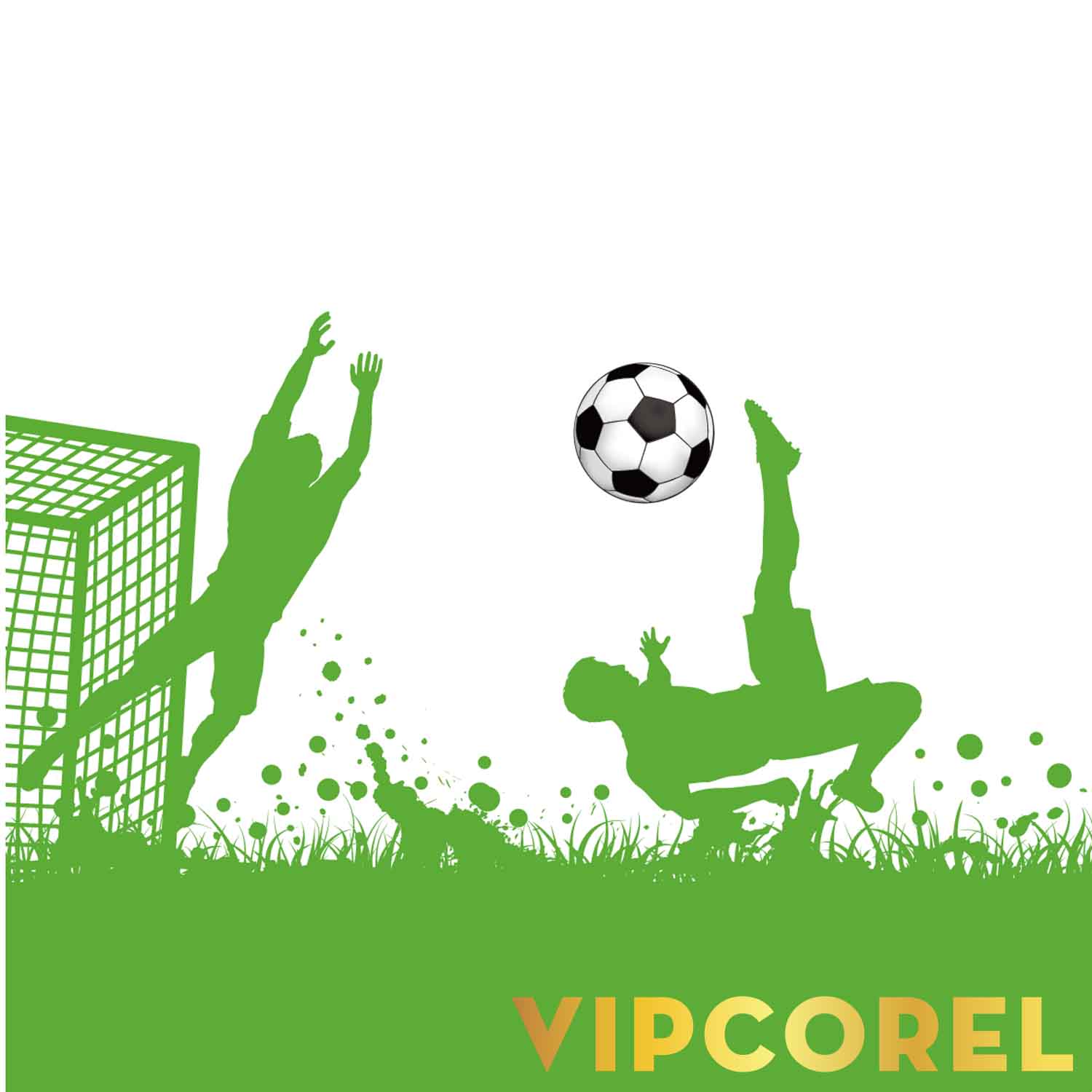 VIPcorel.com hinh anh bong da tach nen file PNG (57).jpg