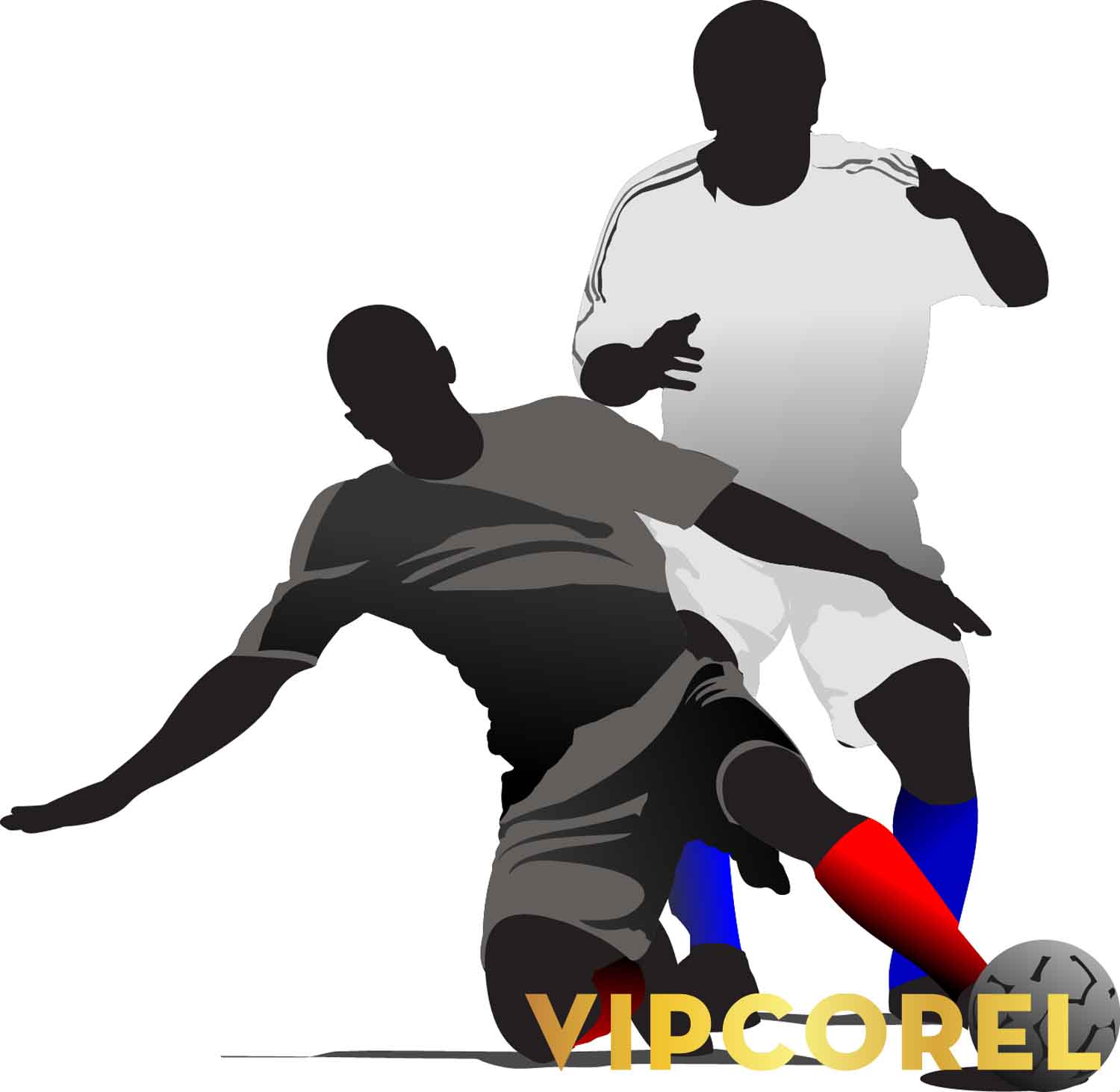 VIPcorel.com hinh anh bong da tach nen file PNG (60).jpg