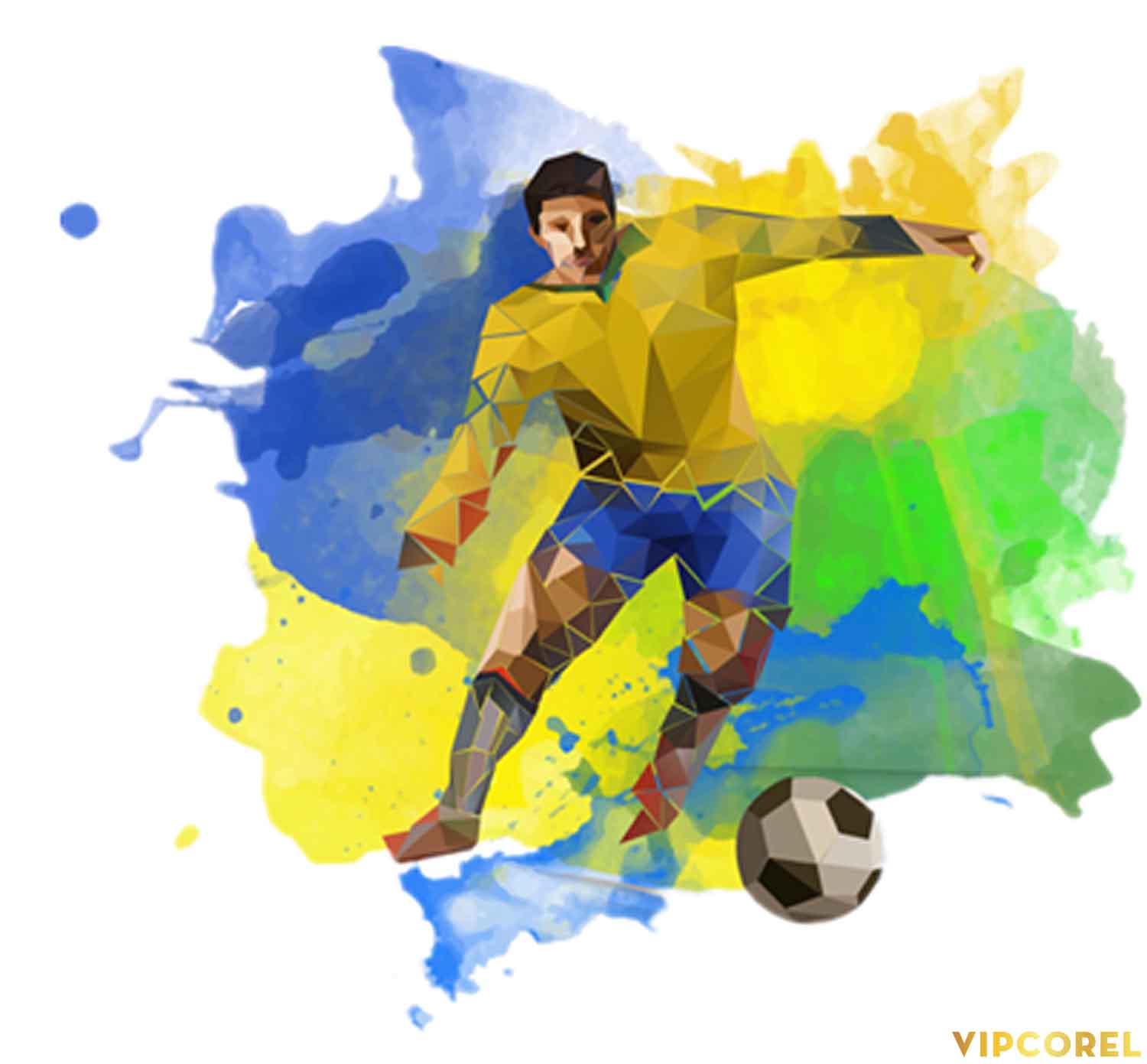 VIPcorel.com hinh anh bong da tach nen file PNG (61).jpg