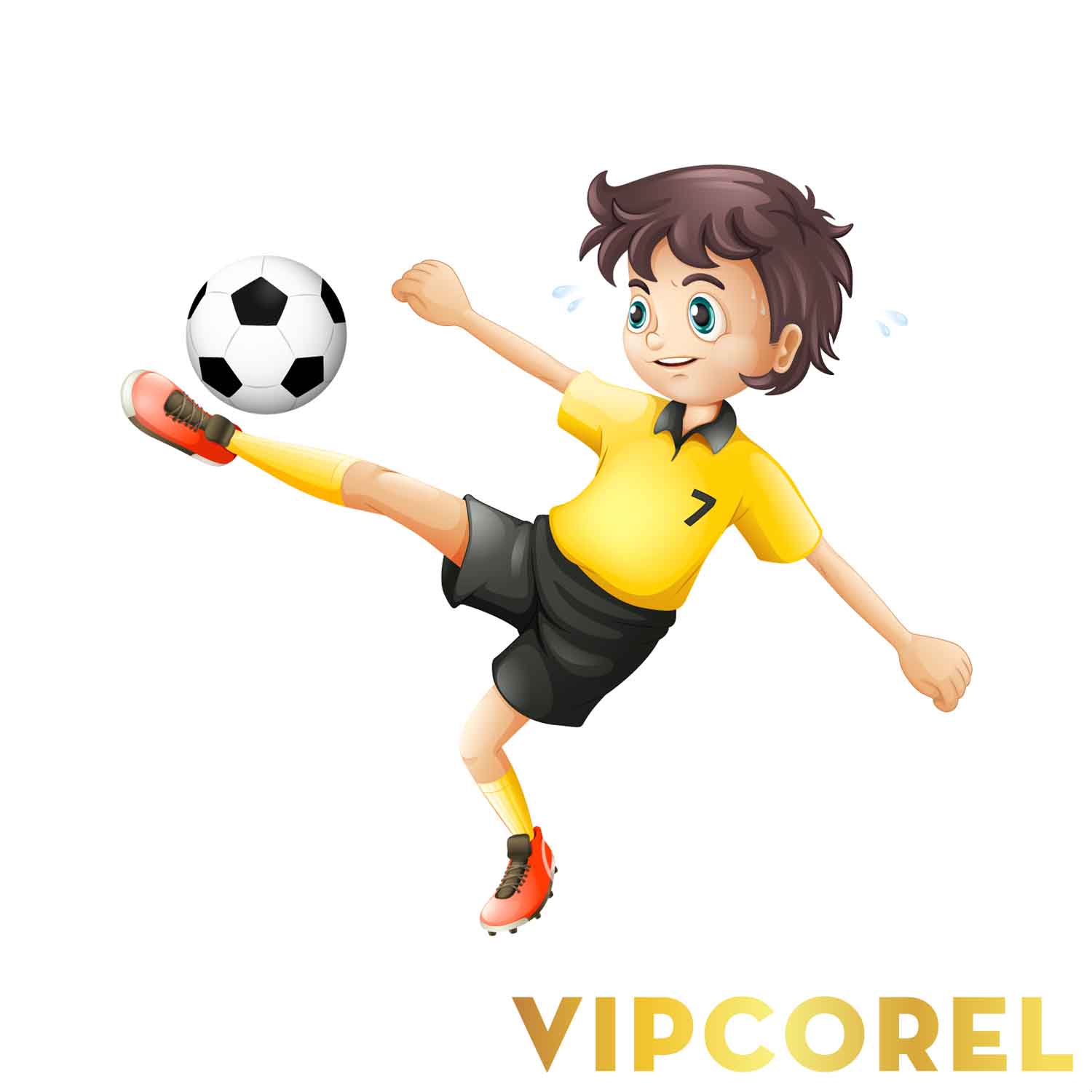 VIPcorel.com hinh anh bong da tach nen file PNG (65).jpg