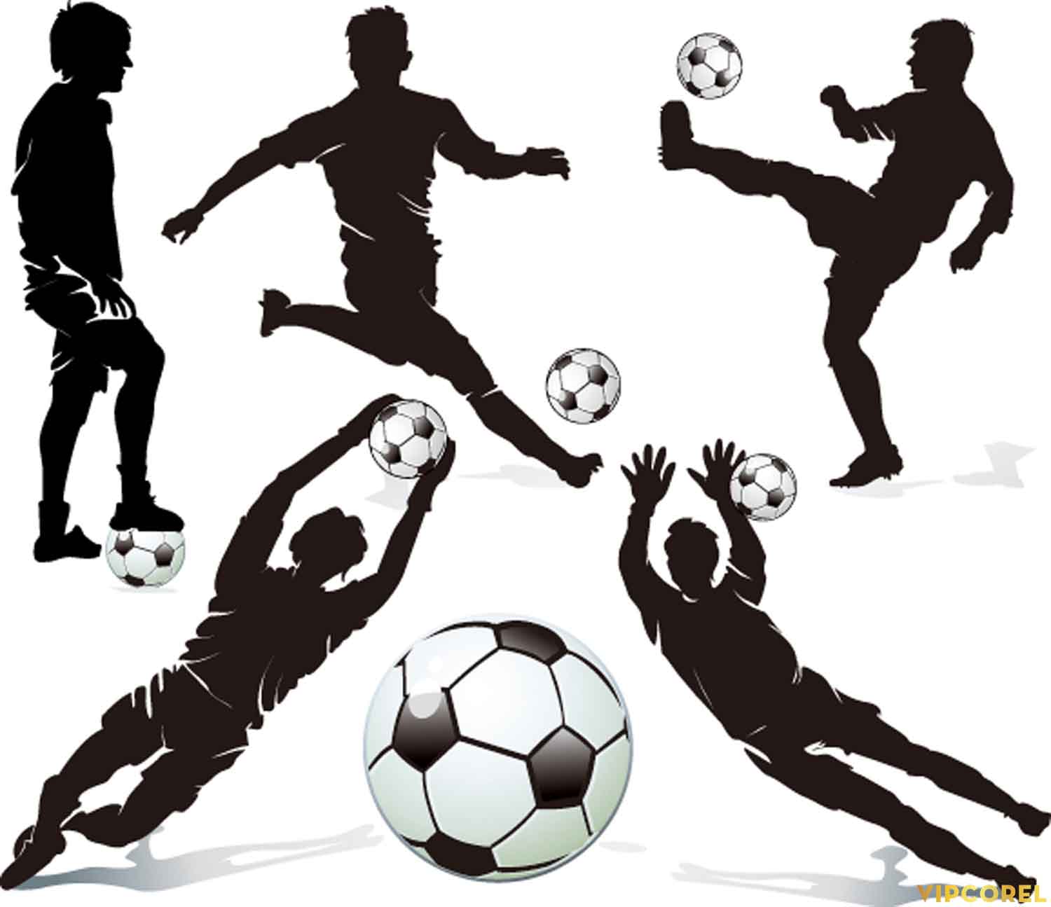 VIPcorel.com hinh anh bong da tach nen file PNG (73).jpg