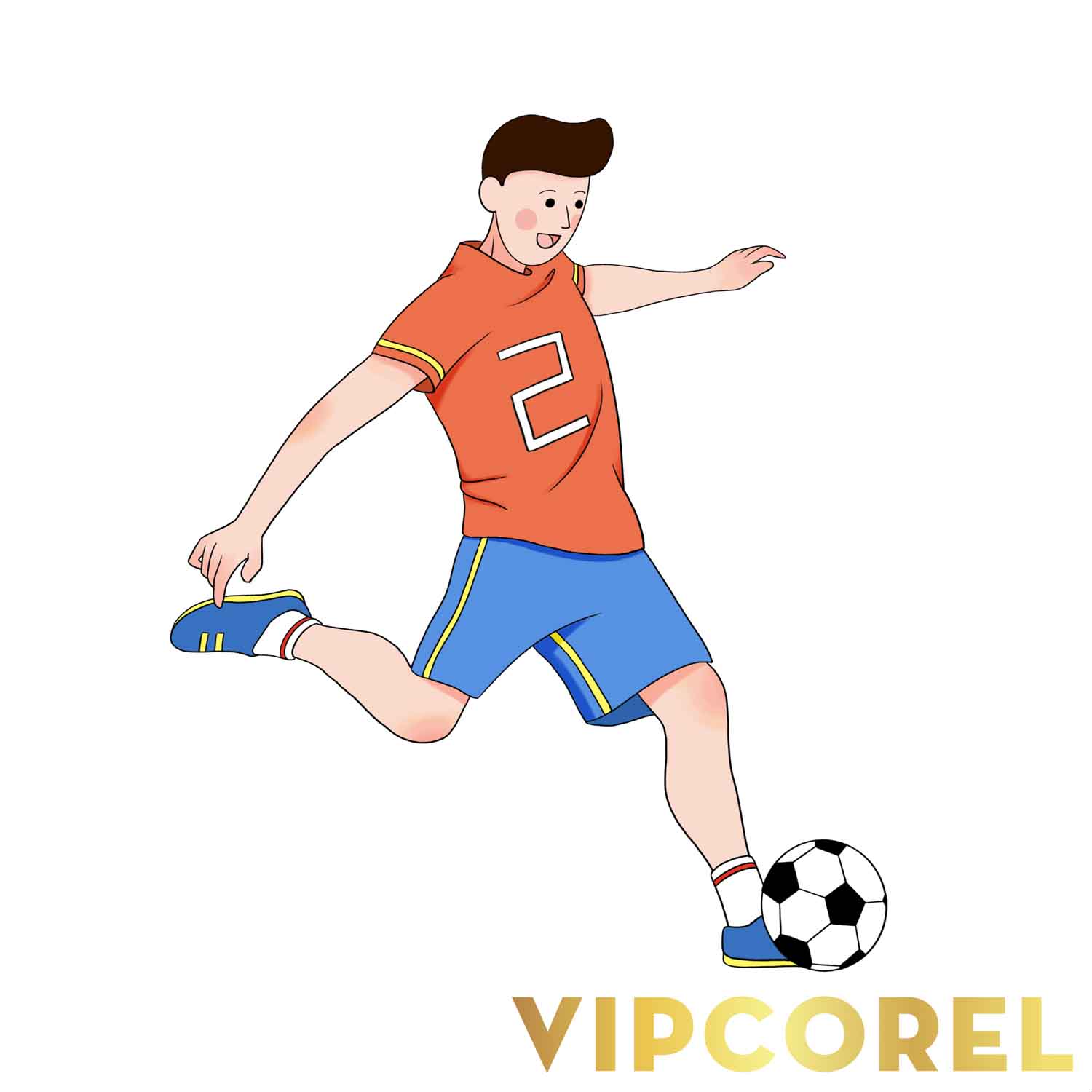 VIPcorel.com hinh anh bong da tach nen file PNG (76).jpg