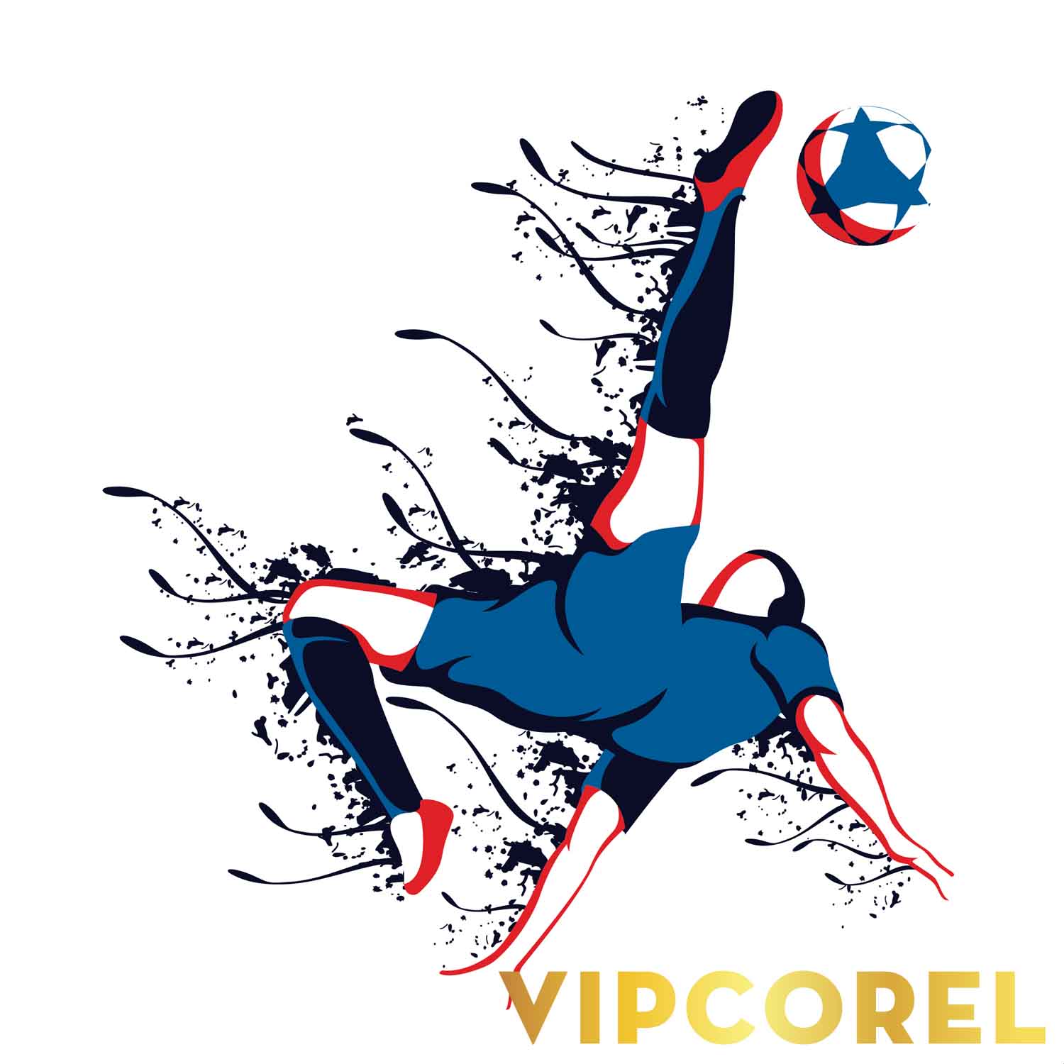 VIPcorel.com hinh anh bong da tach nen file PNG (79).jpg