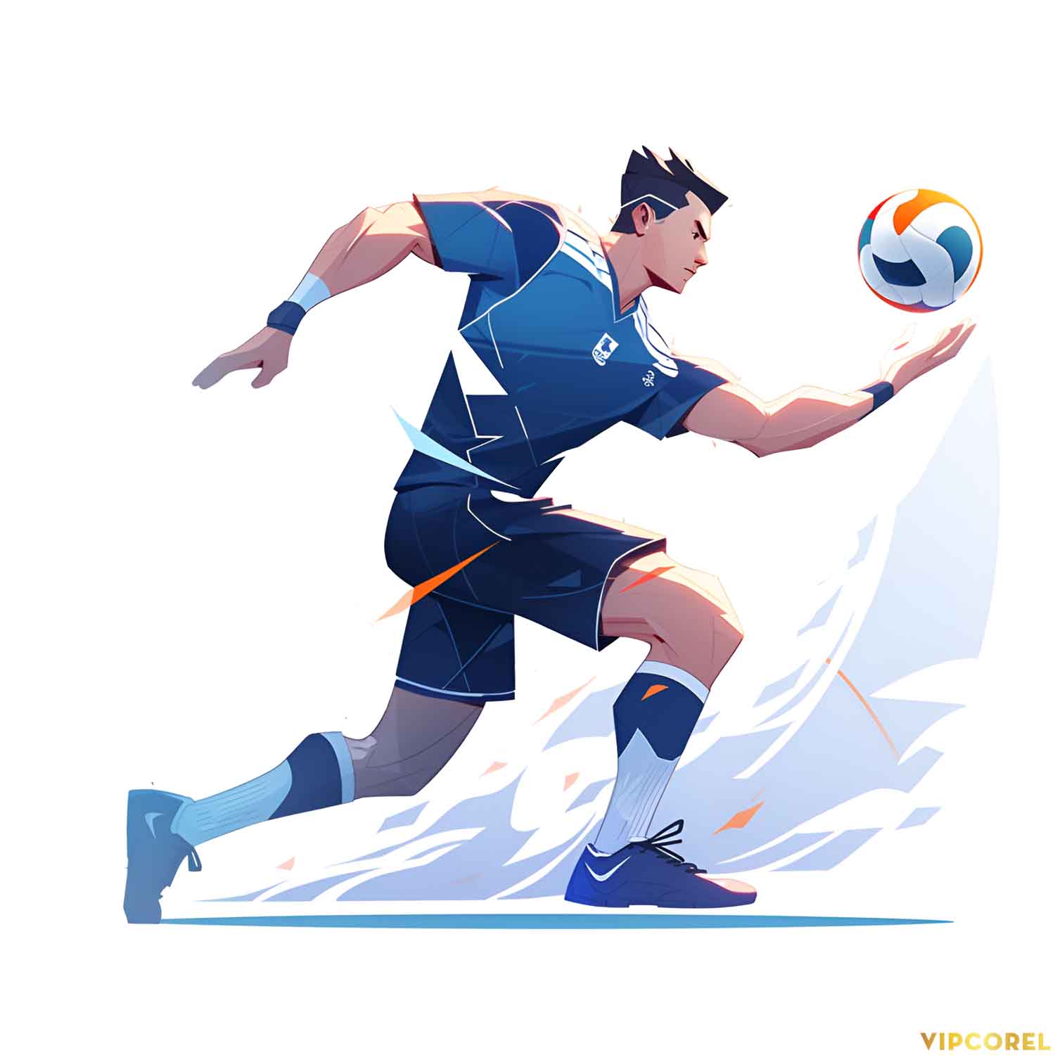 VIPcorel.com hinh anh bong da tach nen file PNG (91).jpg