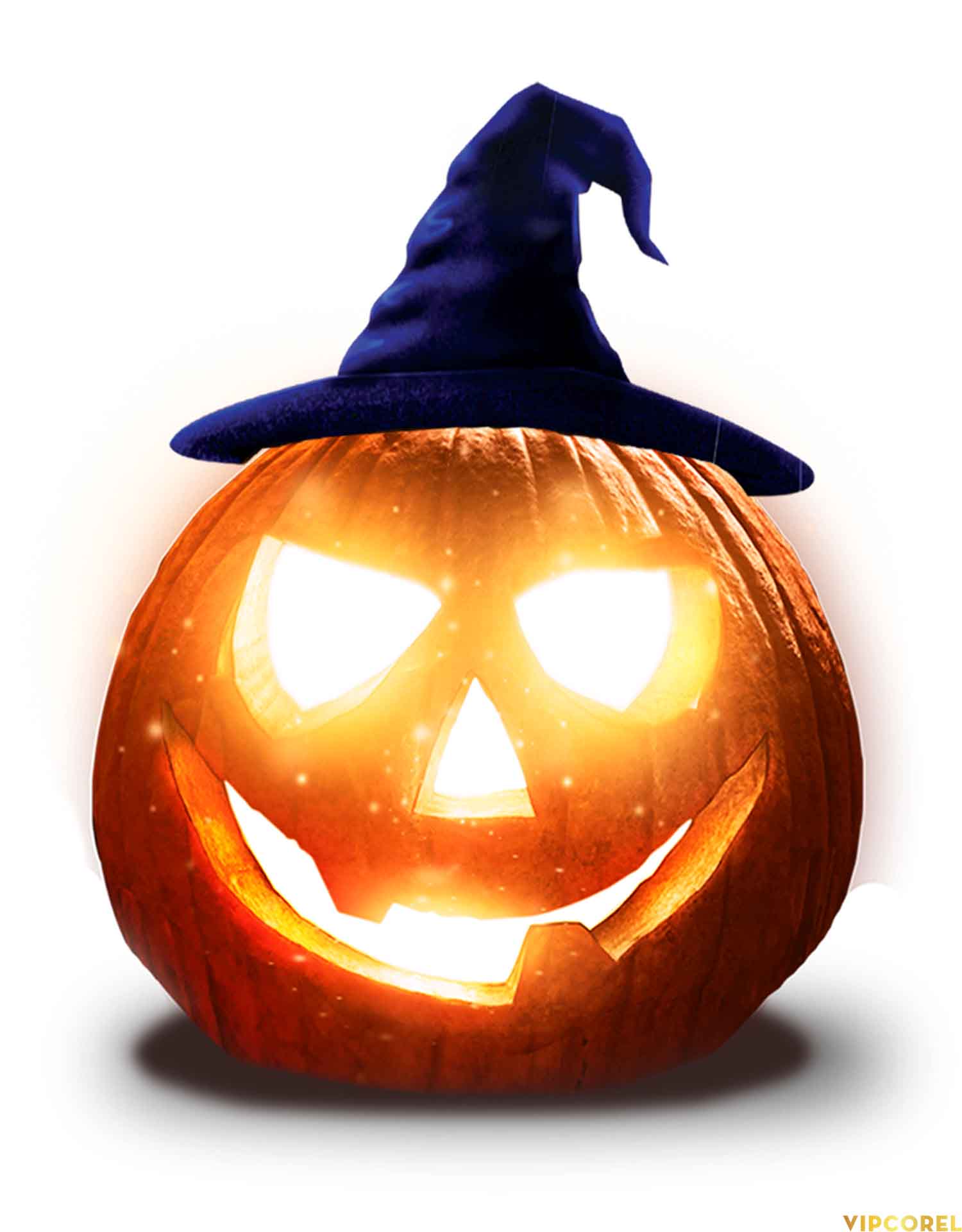 VIPcorel.com hinh anh trang tri halloween (10).jpg