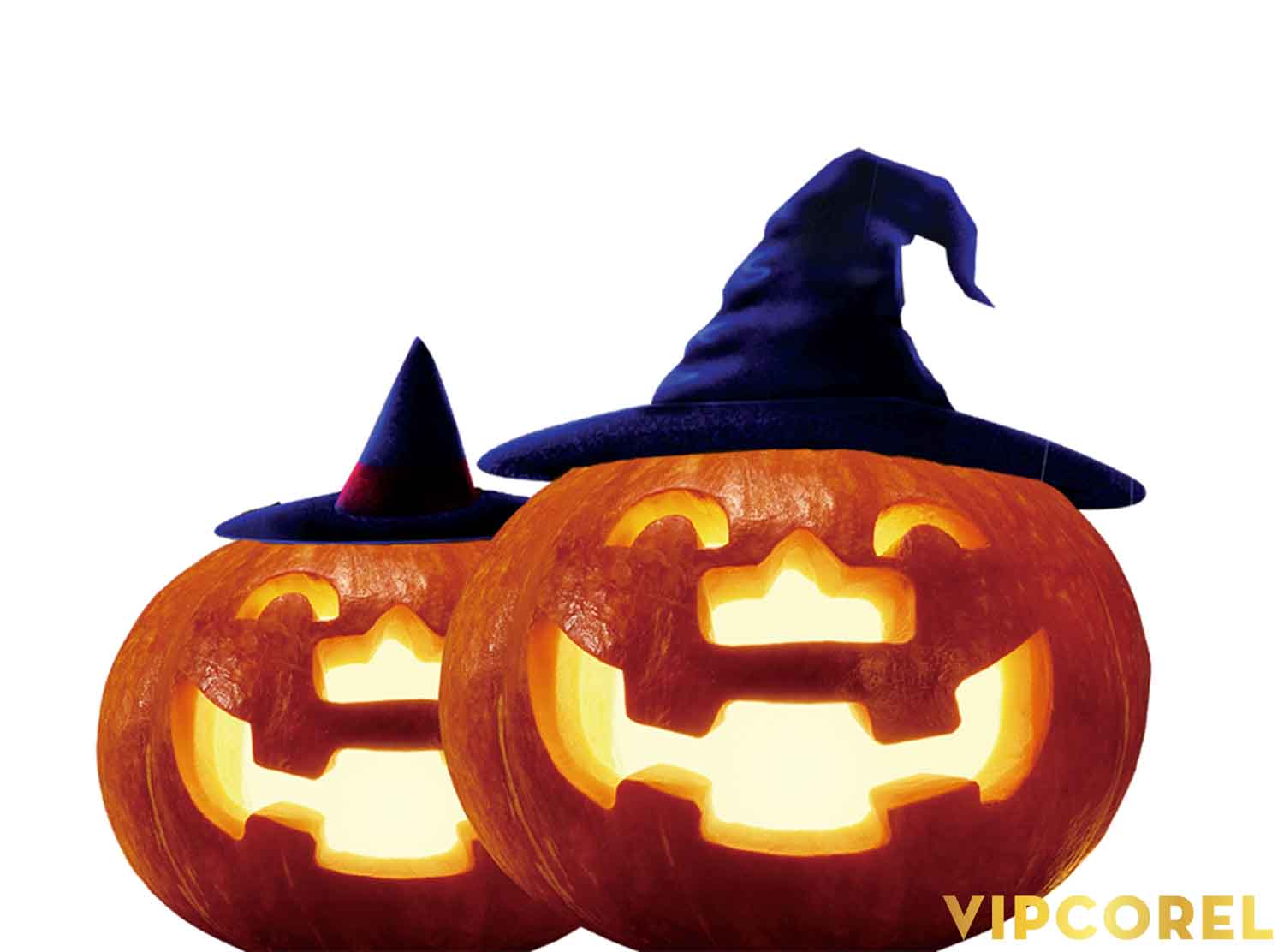 VIPcorel.com hinh anh trang tri halloween (3).jpg