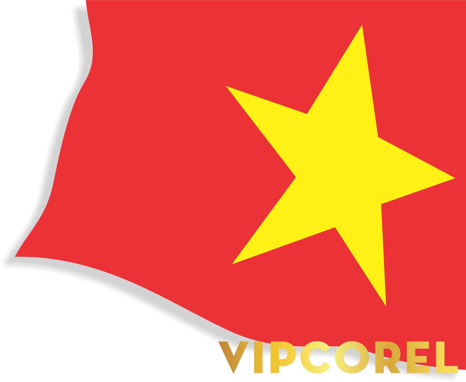 VIPcorel.com quoc ky Viet Nam (2).jpg