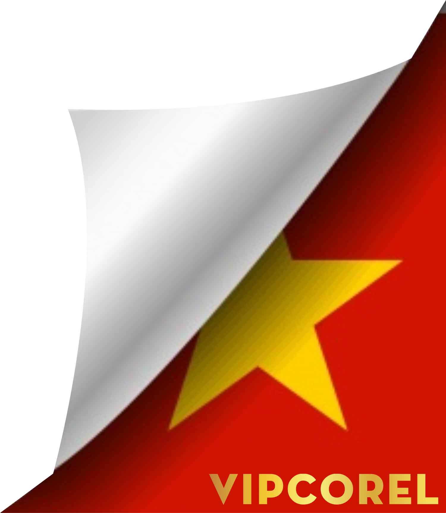 VIPcorel.com quoc ky Viet Nam (5).jpg