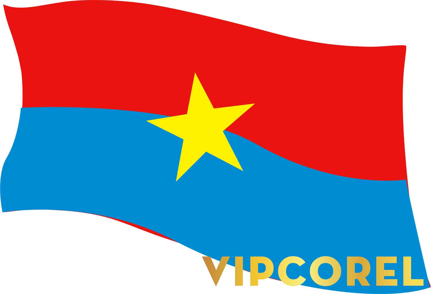 VIPcorel.com quoc ky Viet Nam (9).jpg