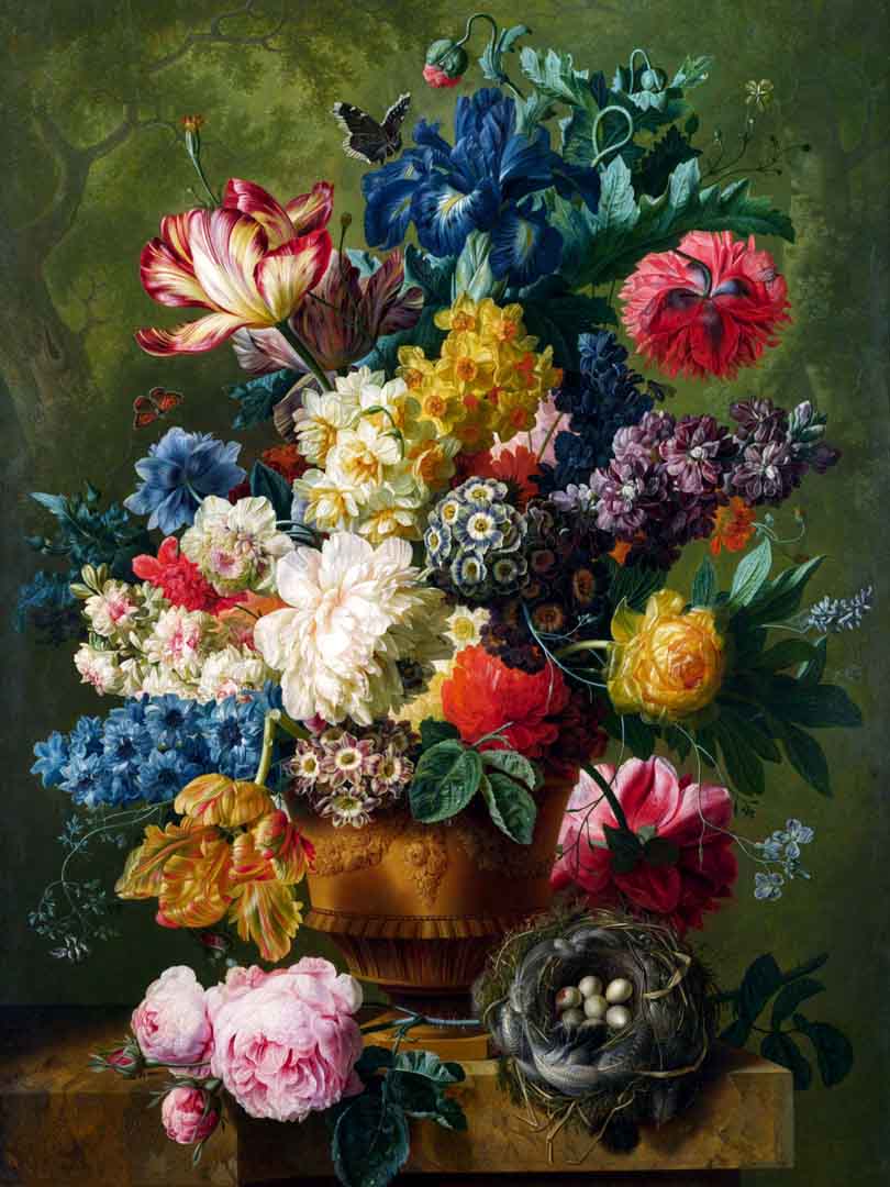 VIPcorel.com10979.jpg