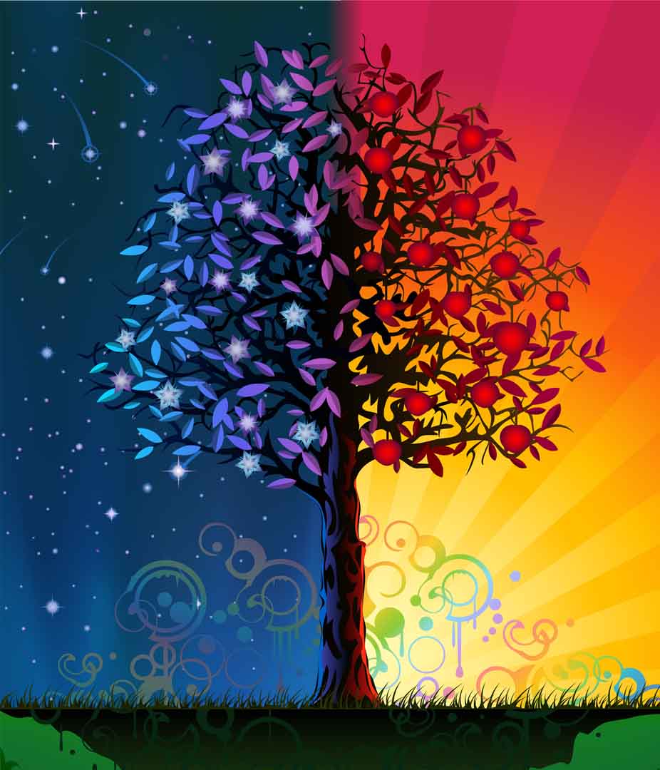 VIPcorel.com11009.jpg