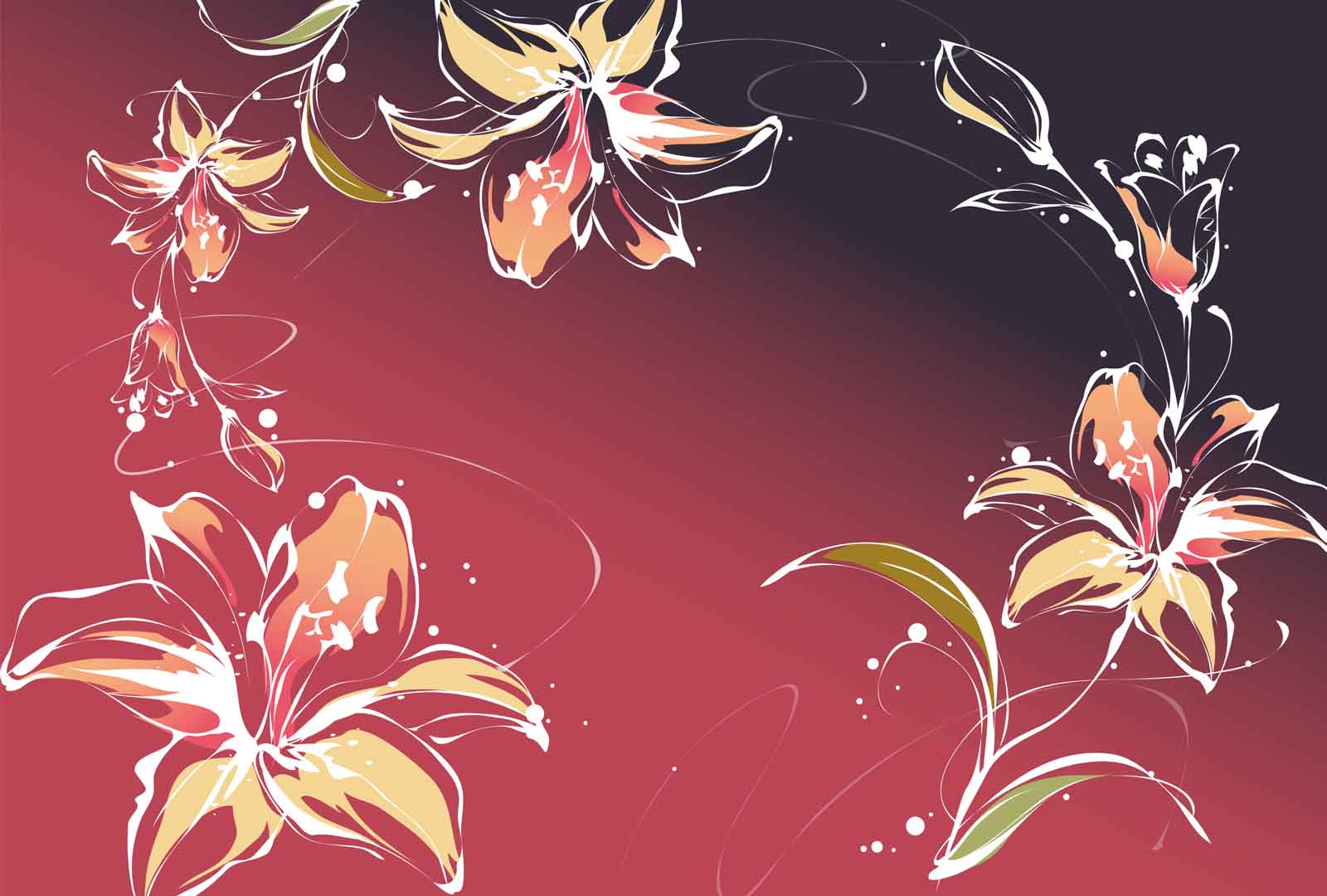 VIPcorel.com11012.jpg