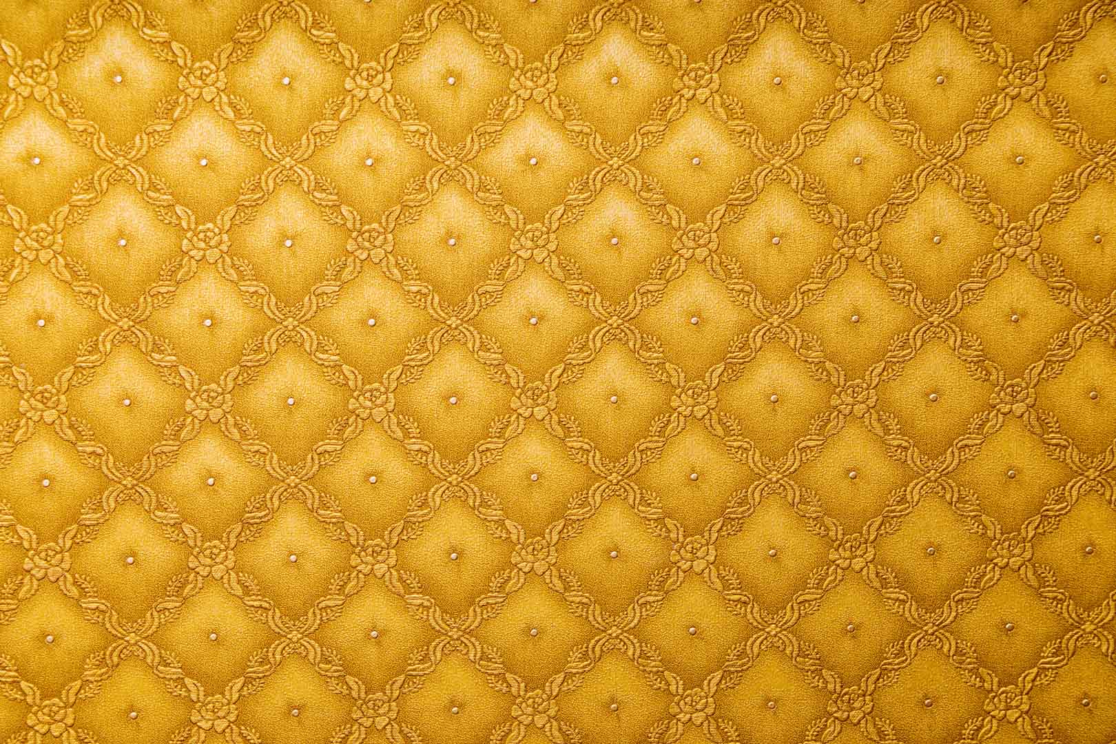 VIPcorel.com11024.jpg