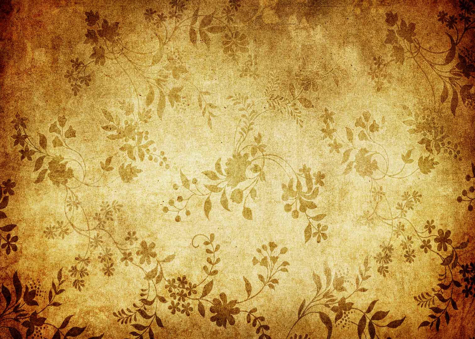 VIPcorel.com11028.jpg