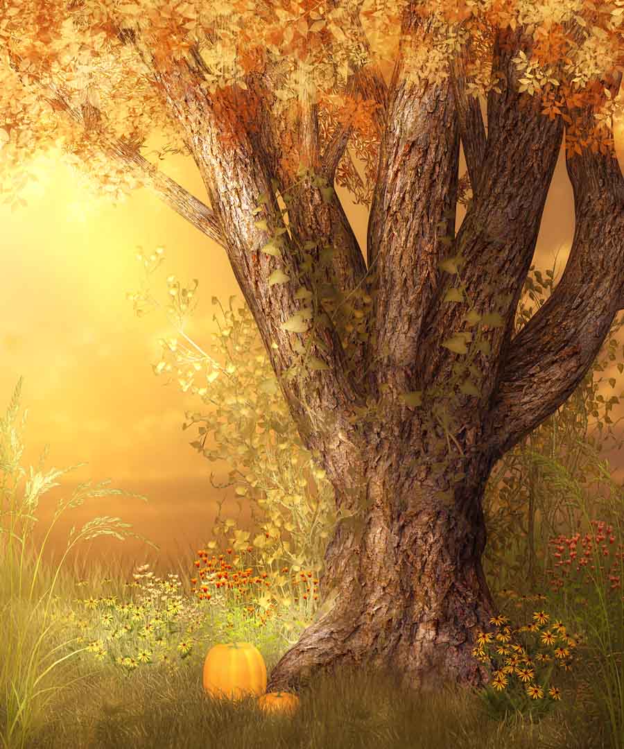 VIPcorel.com11029.jpg
