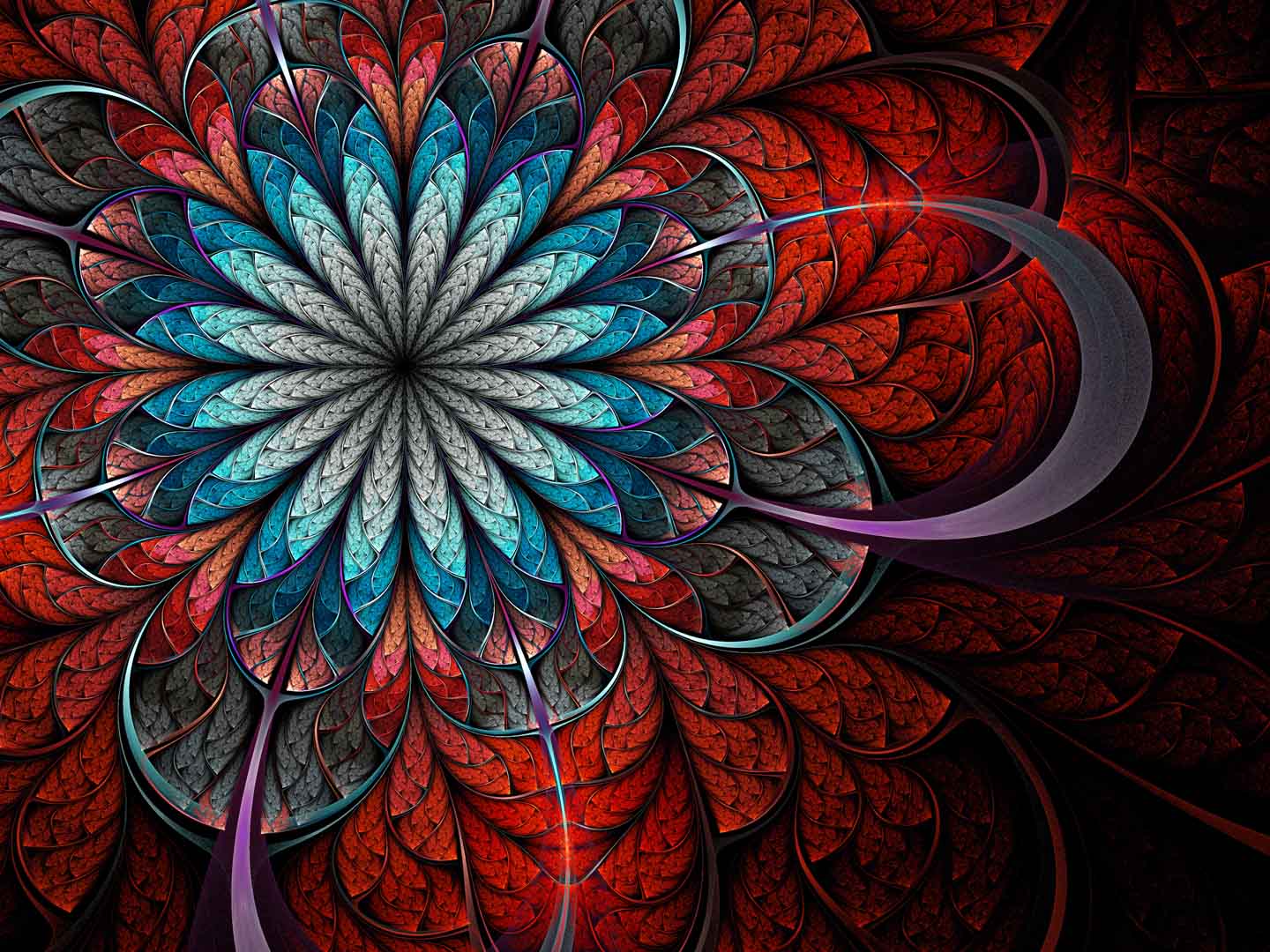 VIPcorel.com11032.jpg