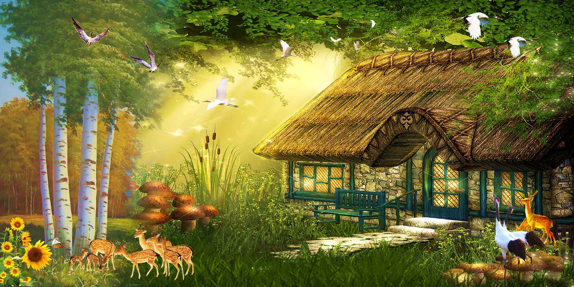 VIPcorel.com11051.jpg