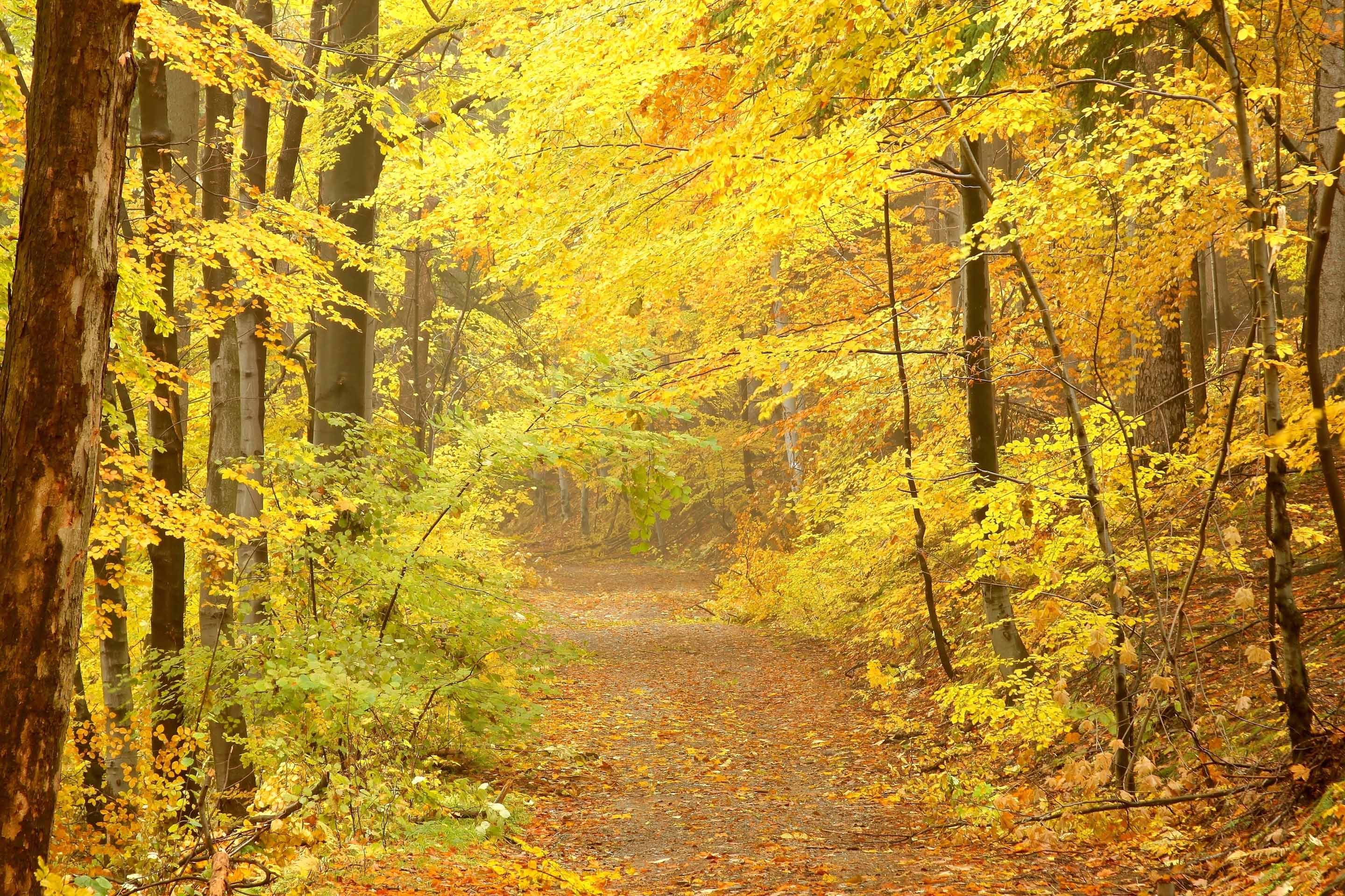 VIPcorel.com_10246-4.jpg