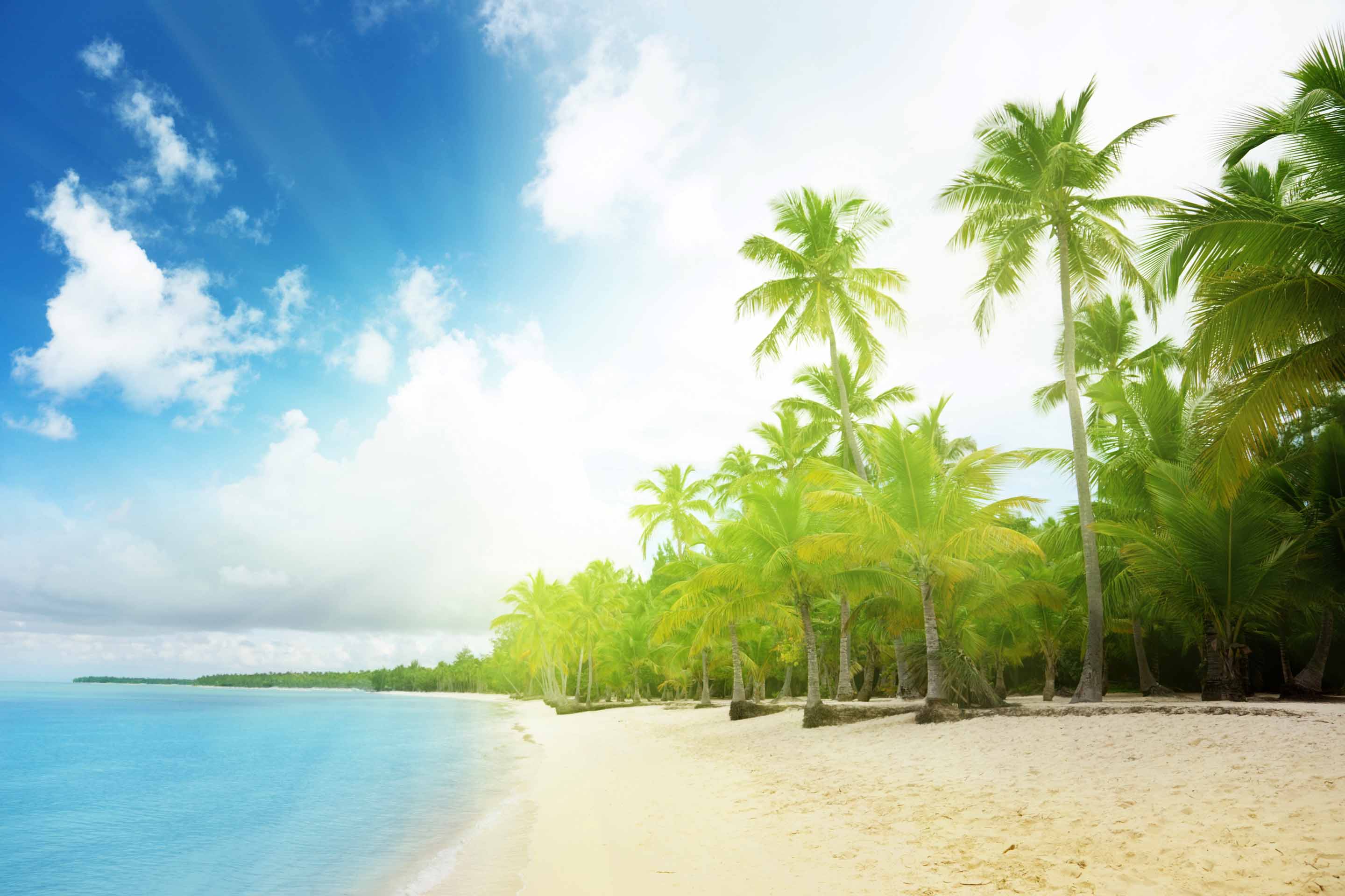 VIPcorel.com_10248-6.jpg