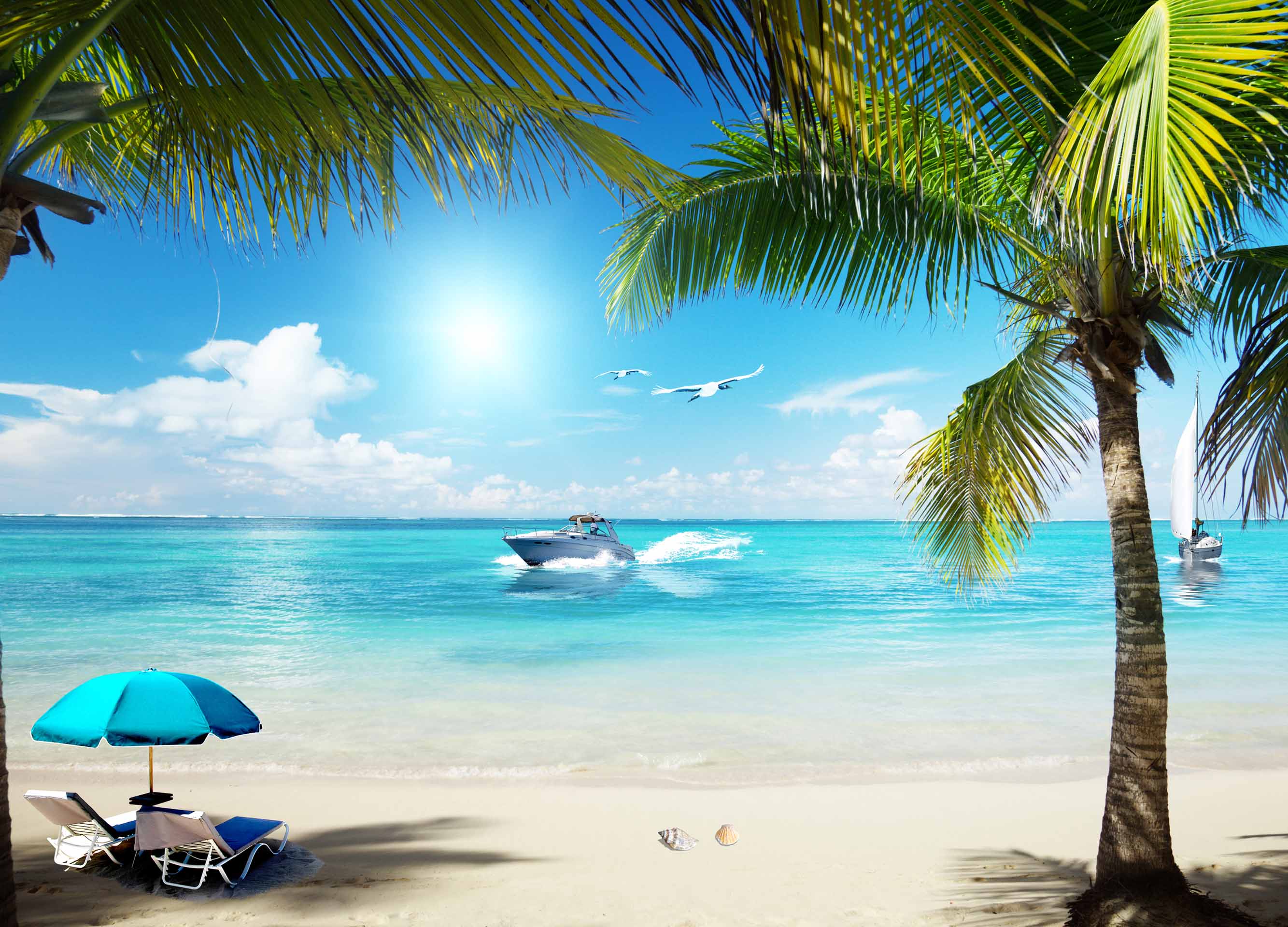 VIPcorel.com_10248.jpg
