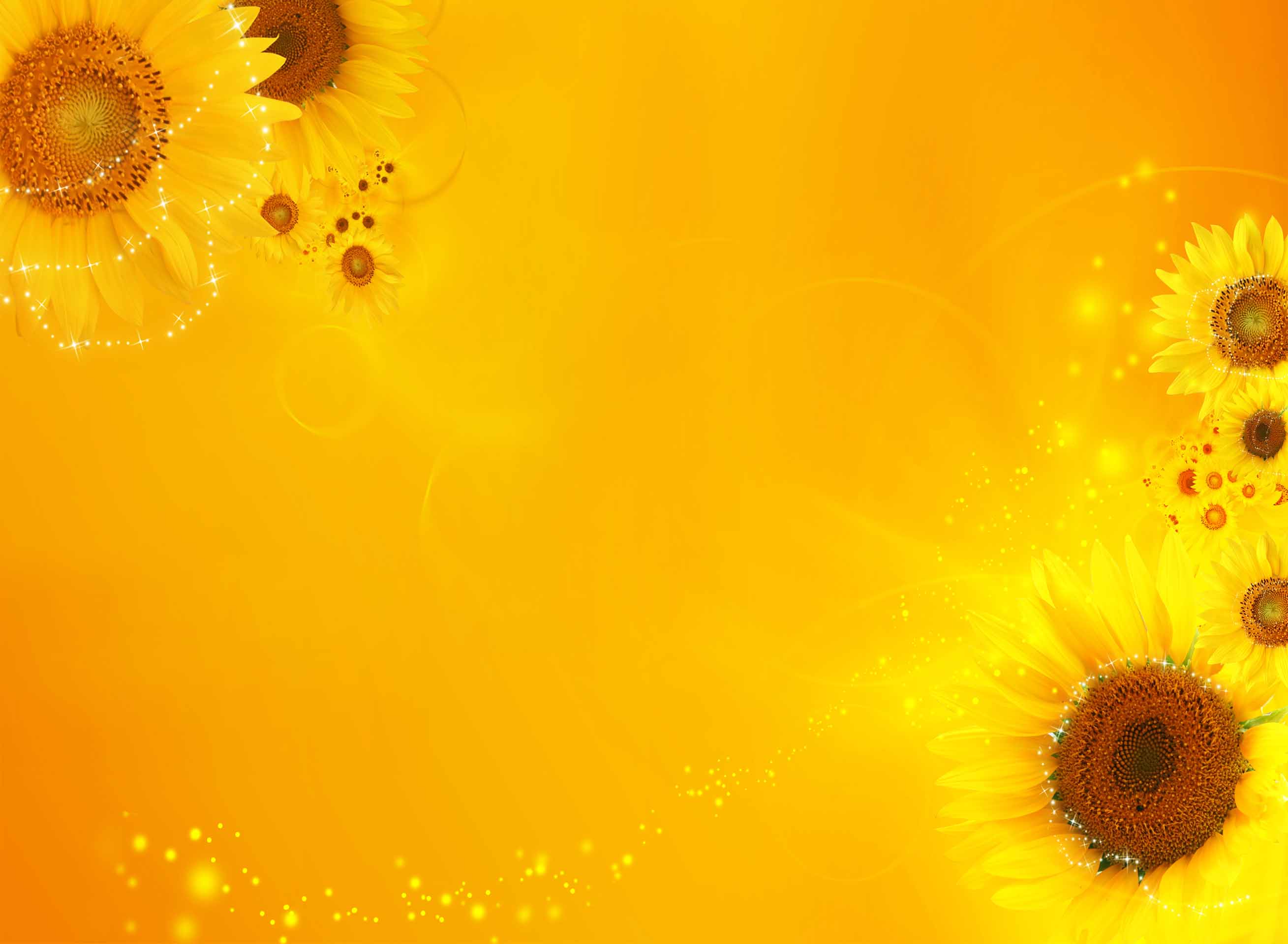 VIPcorel.com_10267-10.jpg