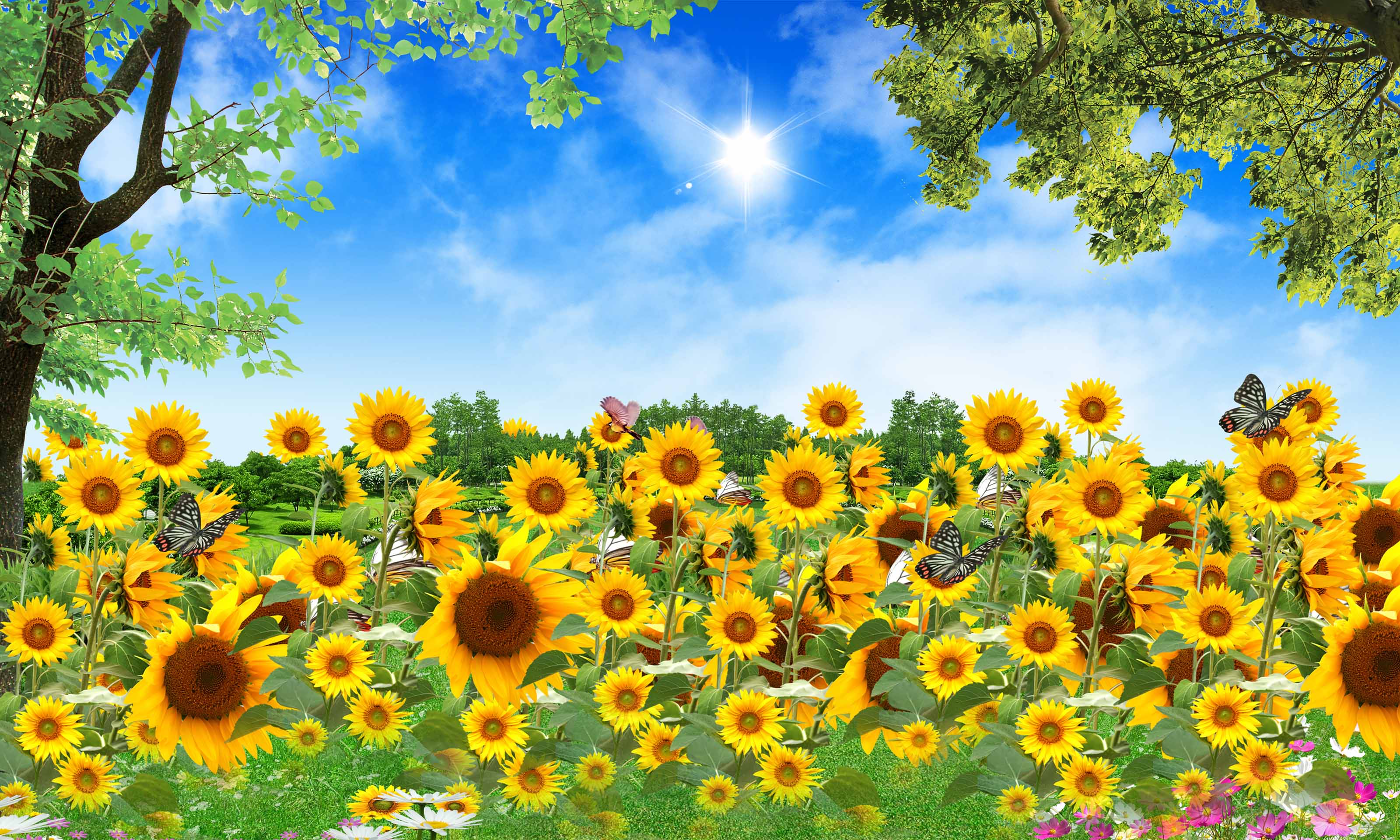 VIPcorel.com_10267-4.jpg