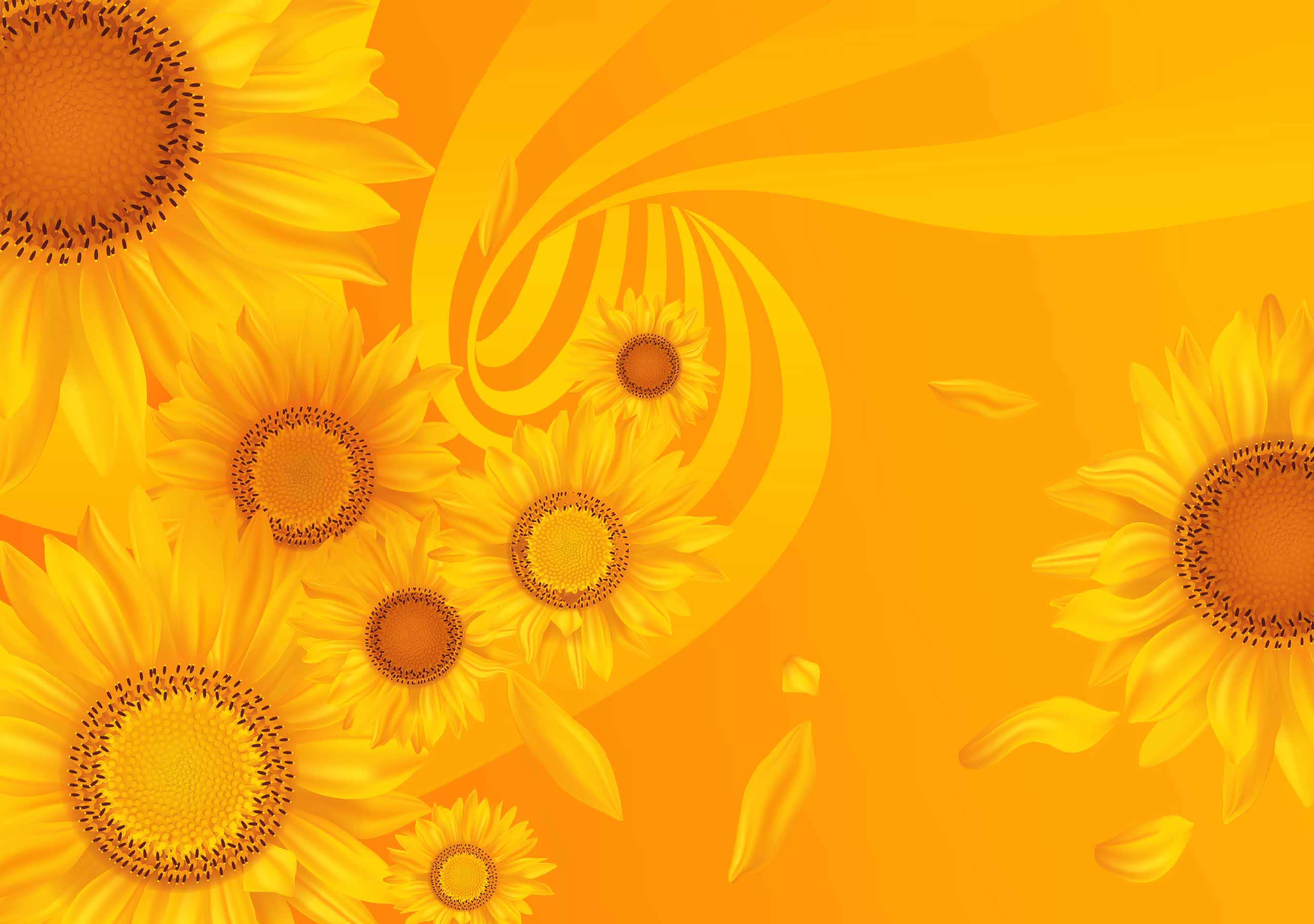 VIPcorel.com_10267-8.jpg