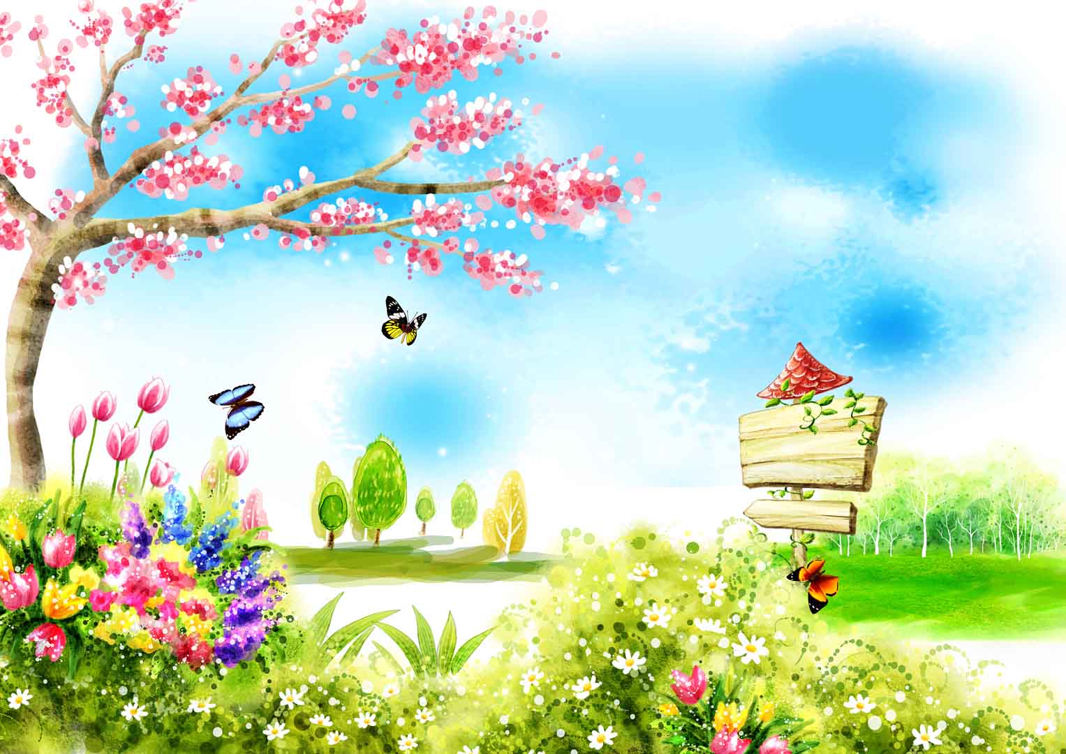 VIPcorel.com_10268-1.jpg