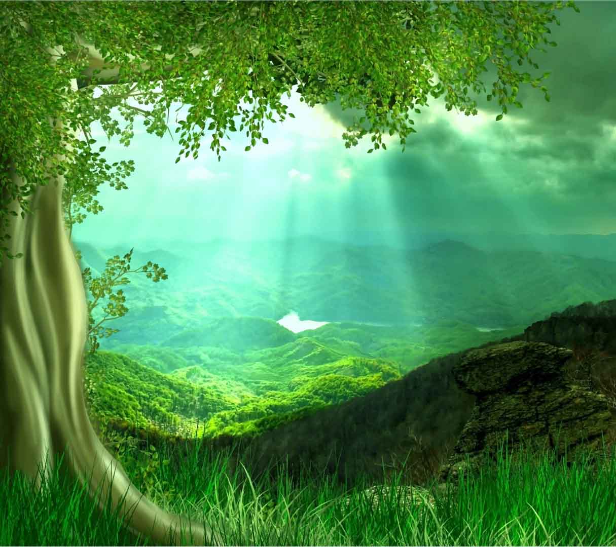 VIPcorel.com_10269-13.jpg