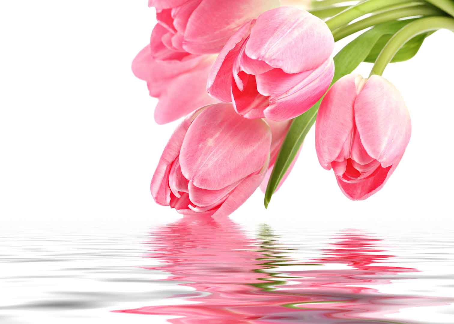 VIPcorel.com_10270-22.jpg