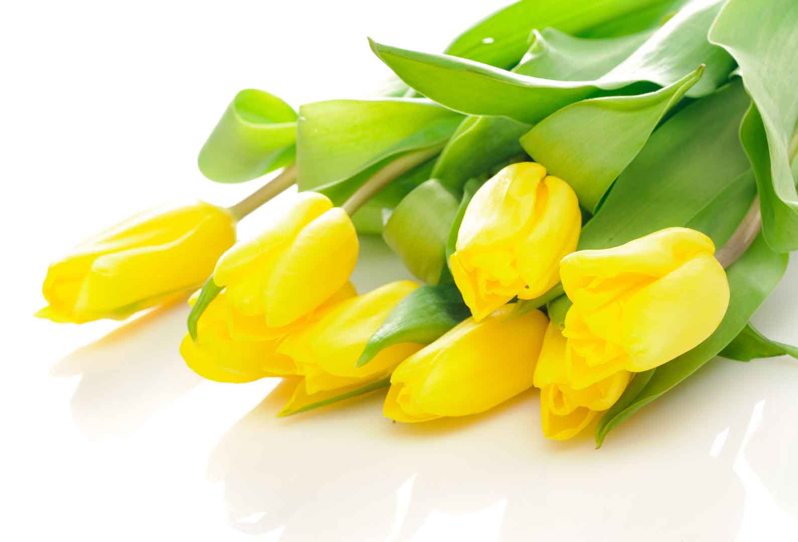 VIPcorel.com_10270-31.jpg