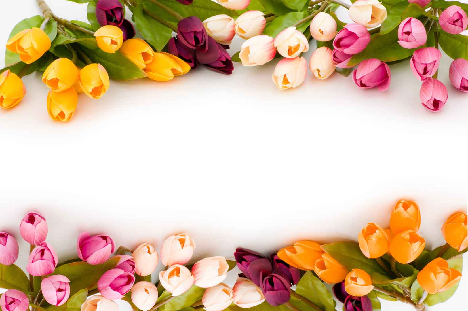 VIPcorel.com_10270-32.jpg
