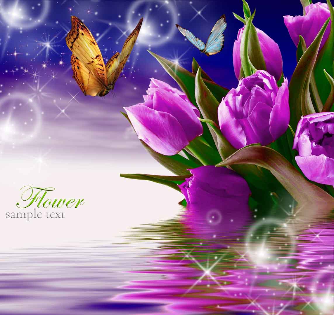 VIPcorel.com_10270-6.jpg