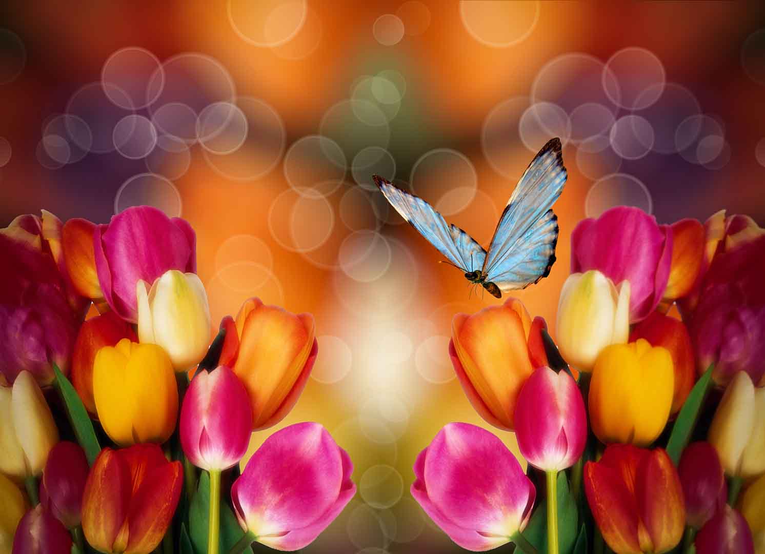VIPcorel.com_10270-7.jpg