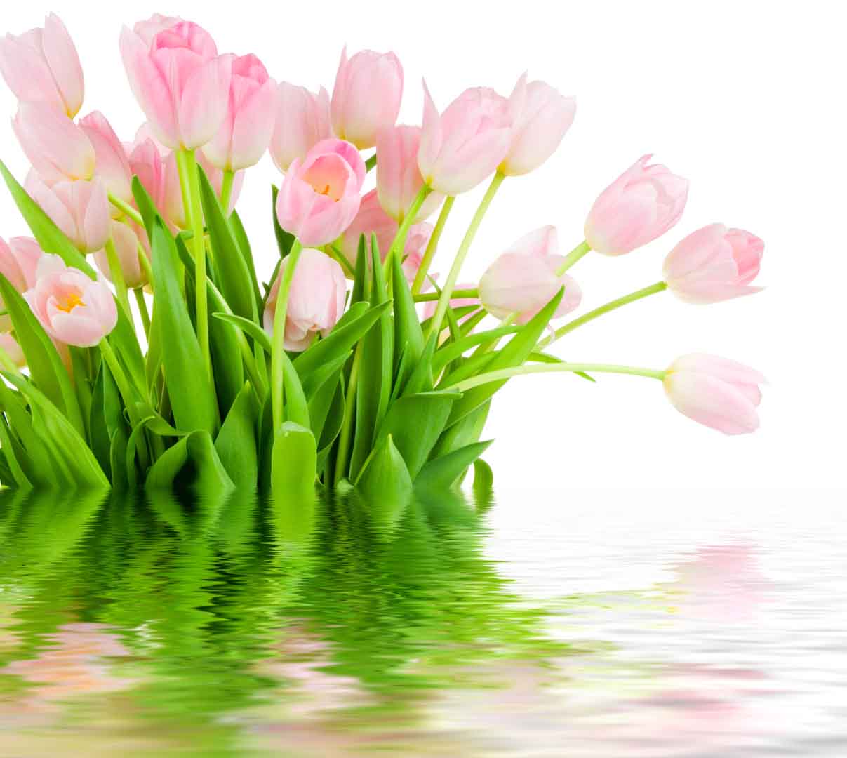 VIPcorel.com_10270-8.jpg