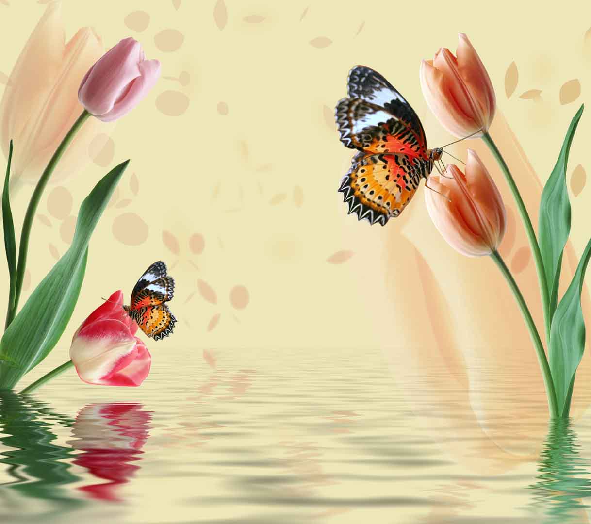 VIPcorel.com_10333.jpg