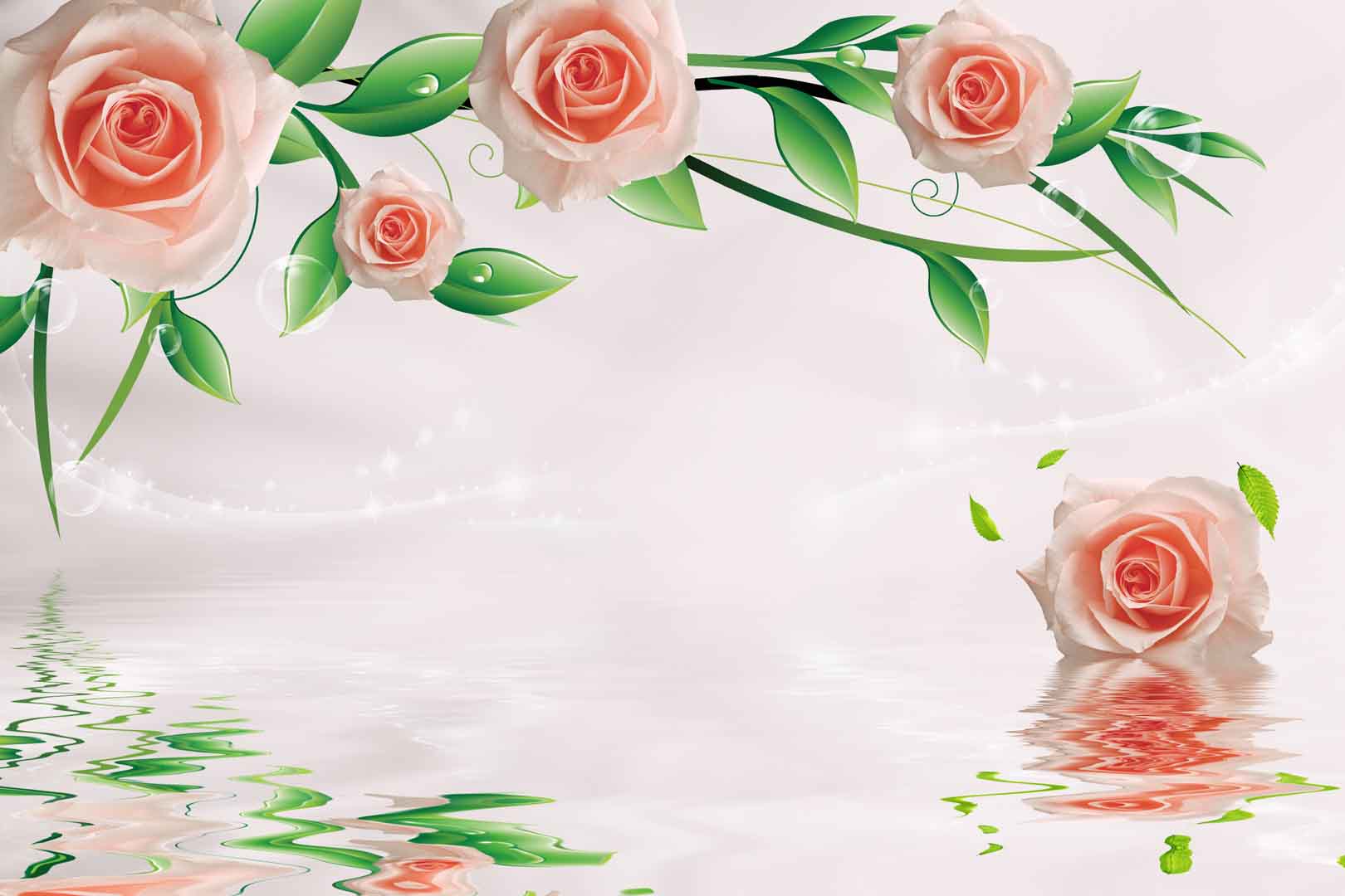VIPcorel.com_10335.jpg