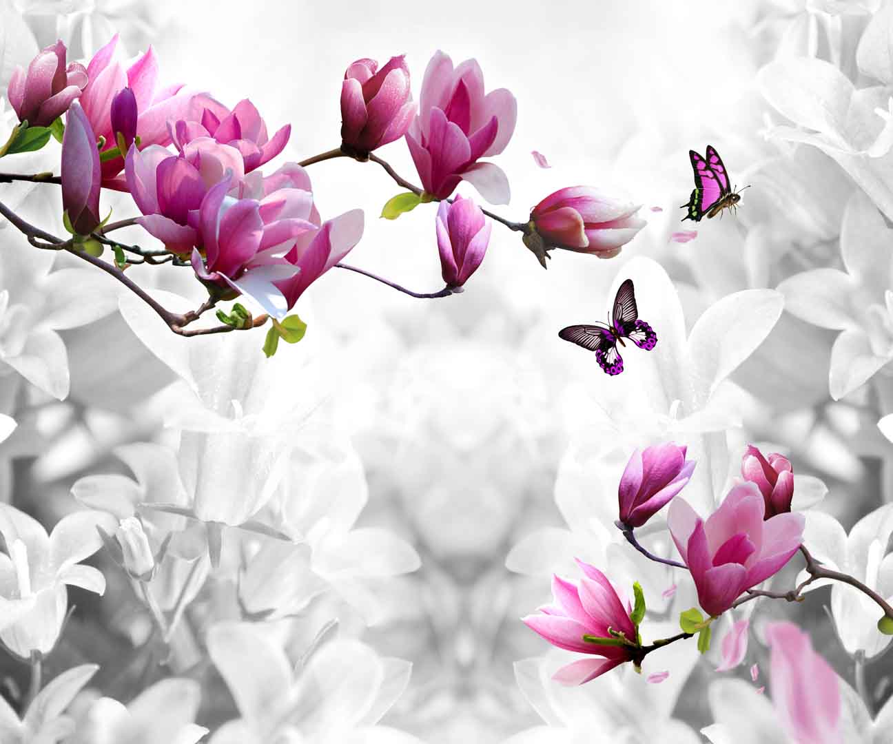 VIPcorel.com_10337.jpg
