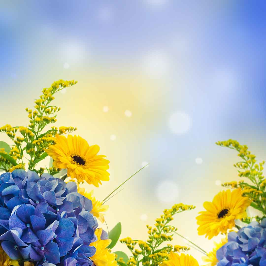 VIPcorel.com_10338.jpg