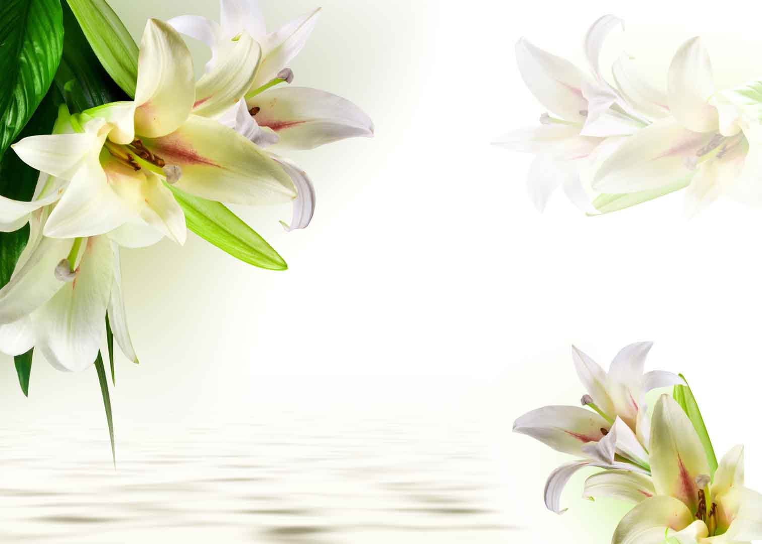 VIPcorel.com_10339.jpg
