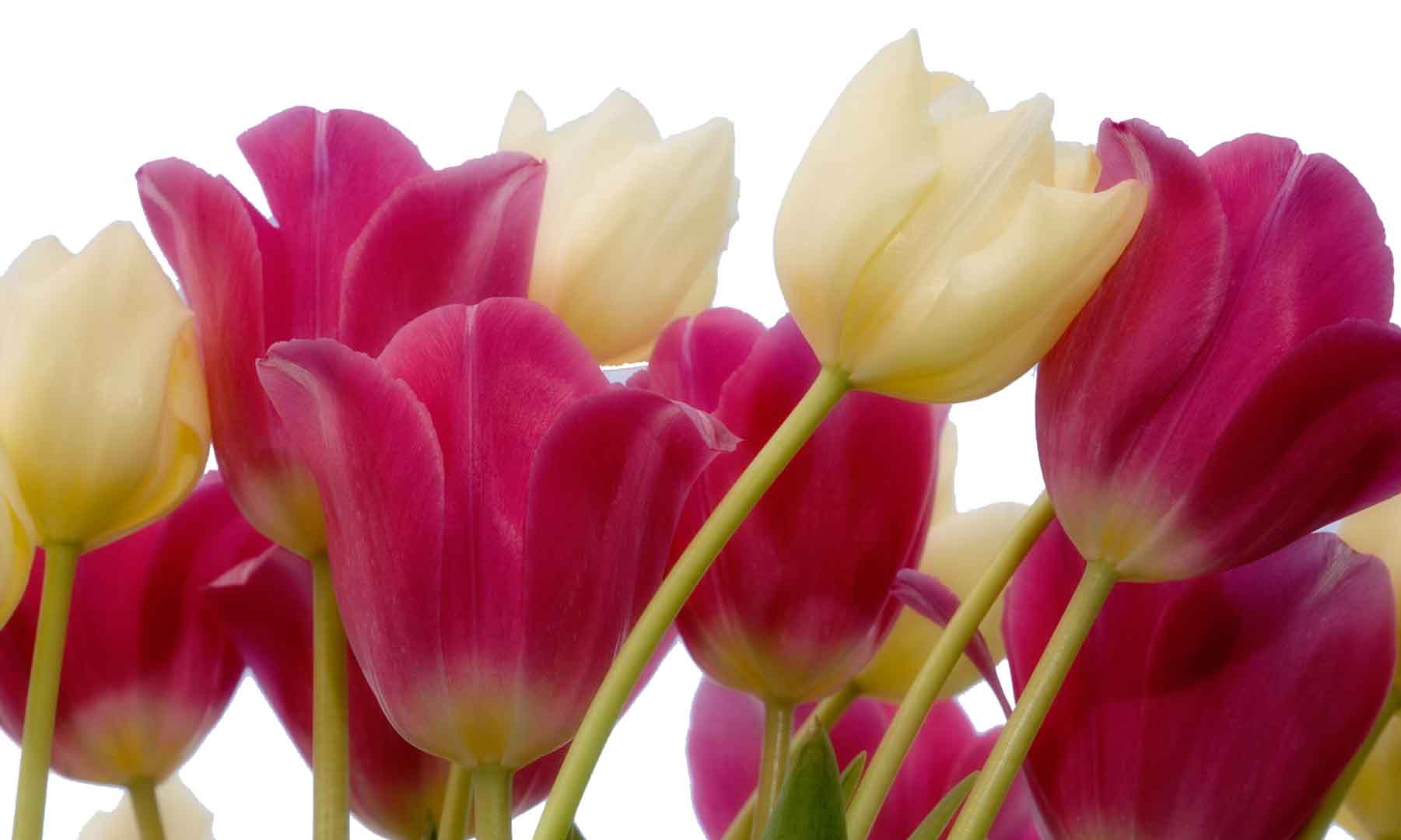 VIPcorel.com_10342.jpg